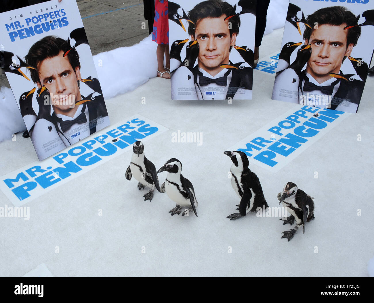 Penguins walk the carpet during premiere of the motion picture comedy 'Mr. Popper's Penguins', at Grauman's Chinese Theatre in the Hollywood section of Los Angeles on June 12, 2011.   UPI/Jim Ruymen Stock Photo