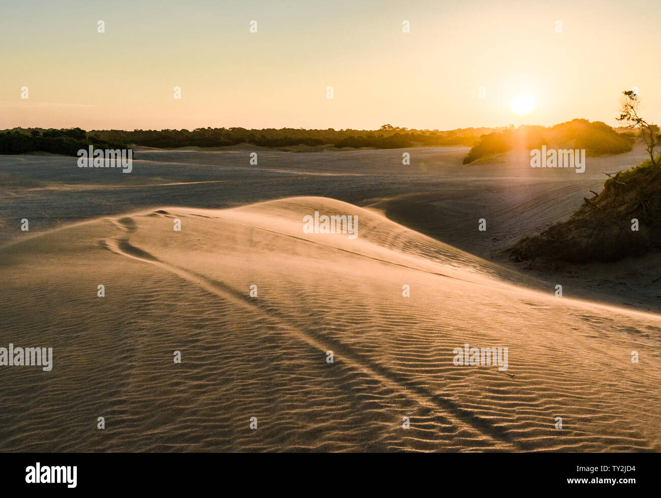 Dune in the desert with yellow sand. Selective focus Stock Photo