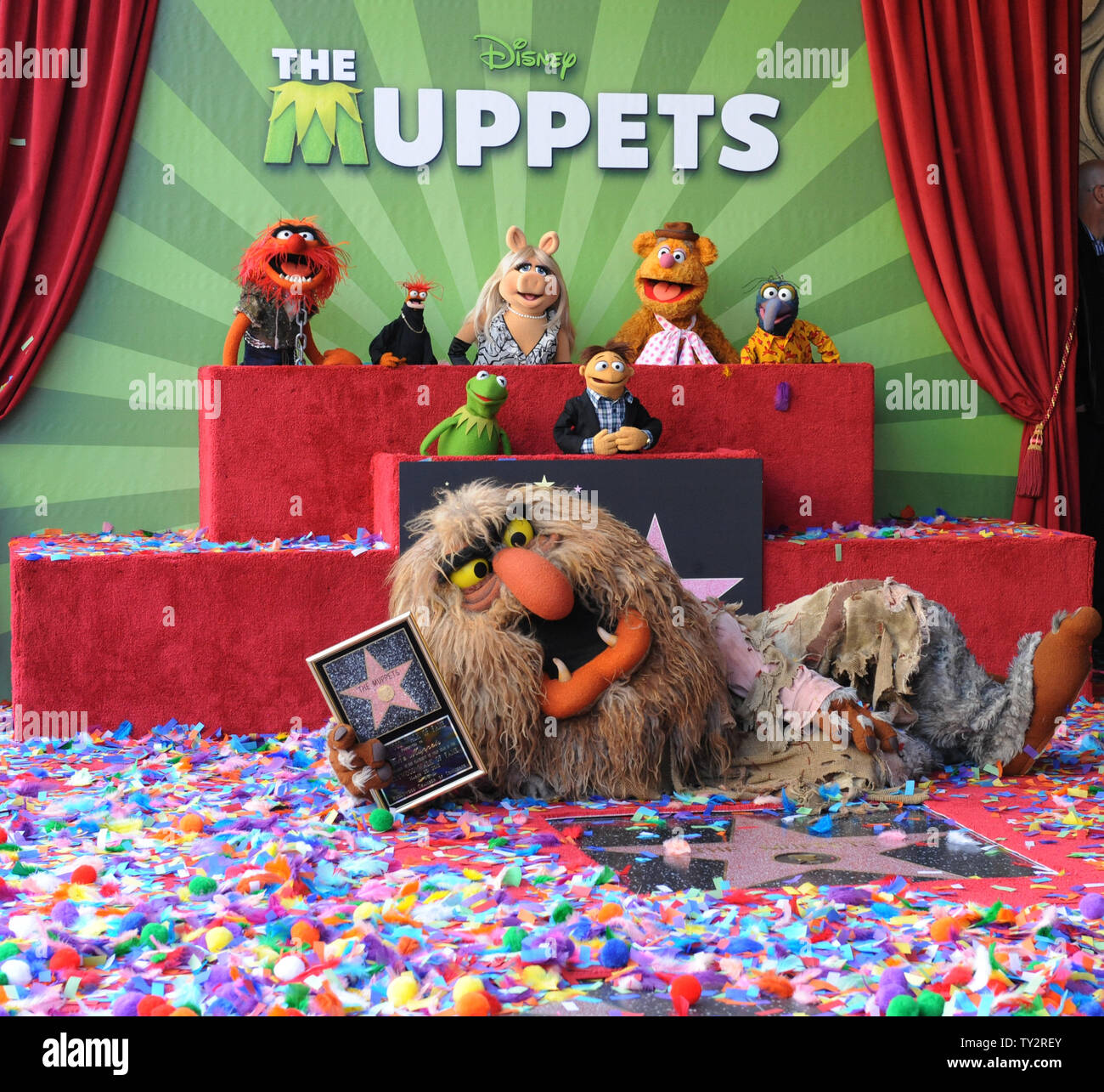Muppets Animal, Pepe, Miss Piggy, Fozzie, Gonzo, (L-R, rear) and Kermit, Walter and Sweetums attend the Inimitable Muppets unveiling ceremony honoring The Muppets  with the 2,466th star on the Hollywood Walk of Fame in Los Angeles on March 20, 2012. UPI/Jim Ruymen Stock Photo