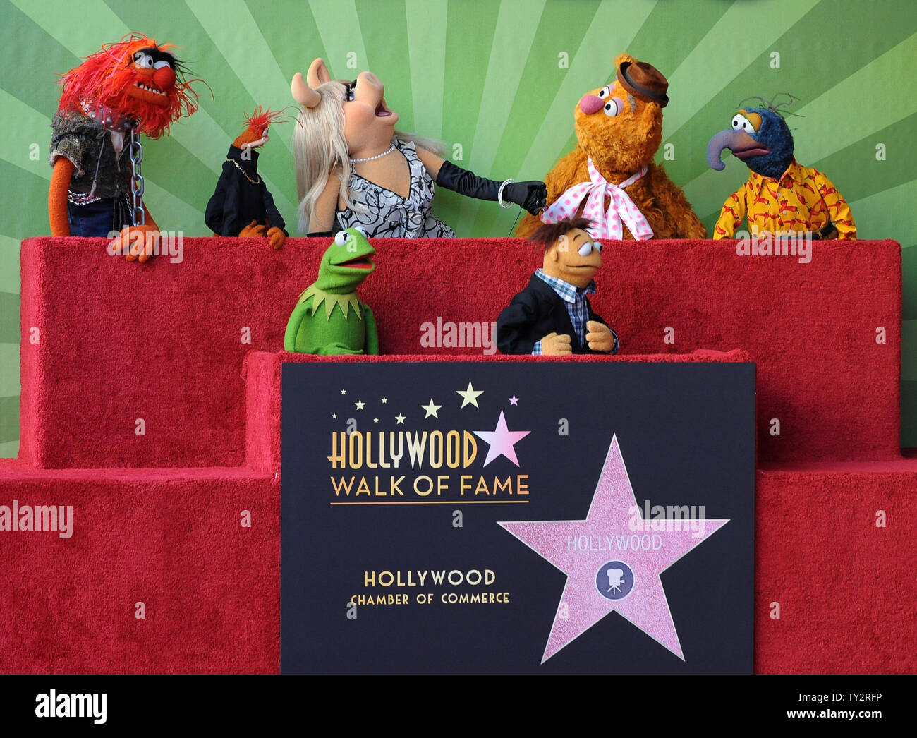 Muppets Animal, Pepe, Miss Piggy, Fozzie, Gonzo, (L-R, rear) and Kermit and Walter (L-R), foreground) attend the Inimitable Muppets unveiling ceremony honoring The Muppets  with the 2,466th star on the Hollywood Walk of Fame in Los Angeles on March 20, 2012. UPI/Jim Ruymen Stock Photo