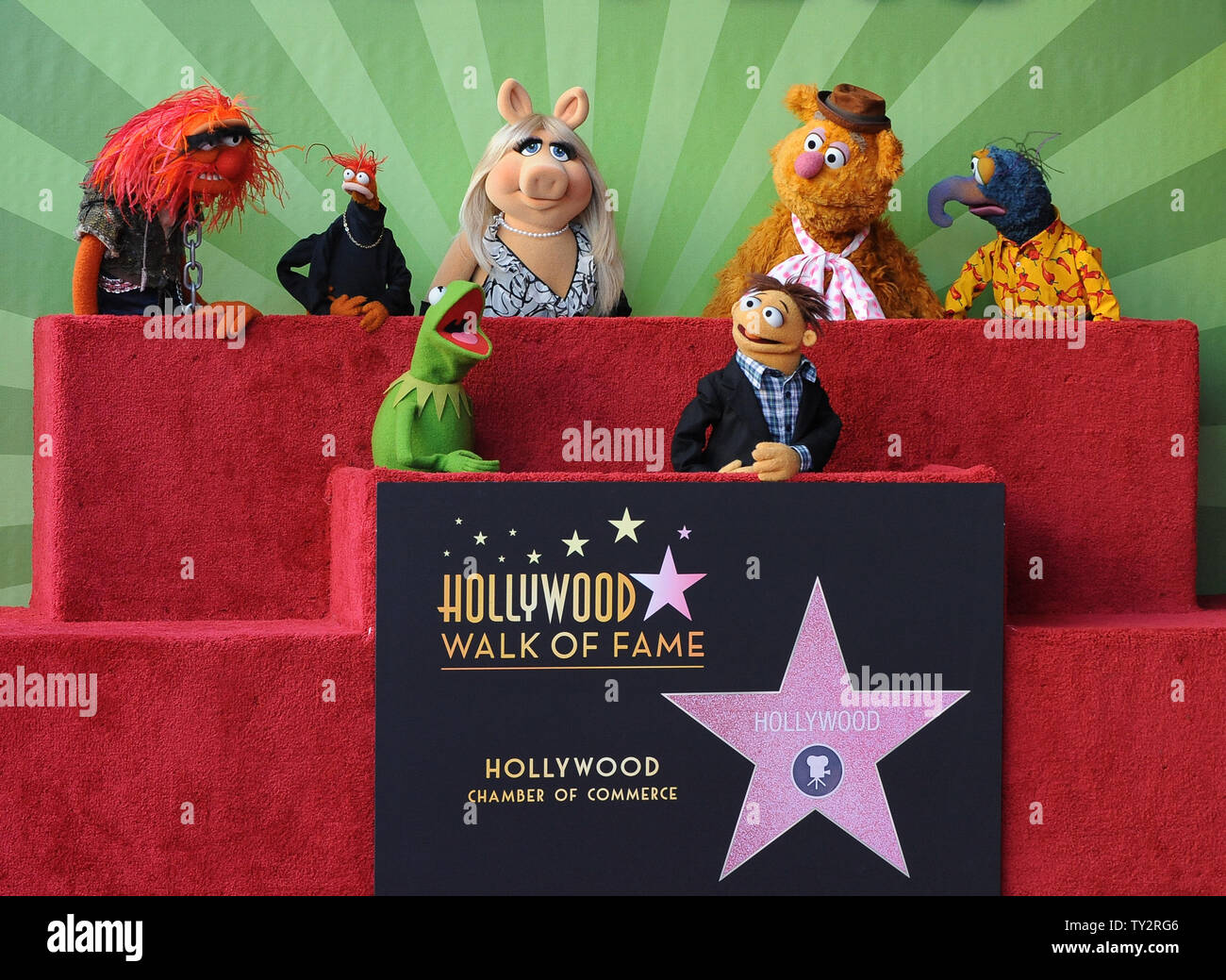 Muppets Animal, Pepe, Miss Piggy, Fozzie, Gonzo, (L-R, rear) and Kermit and Walter (L-R), foreground) attend the Inimitable Muppets unveiling ceremony honoring The Muppets  with the 2,466th star on the Hollywood Walk of Fame in Los Angeles on March 20, 2012. UPI/Jim Ruymen Stock Photo