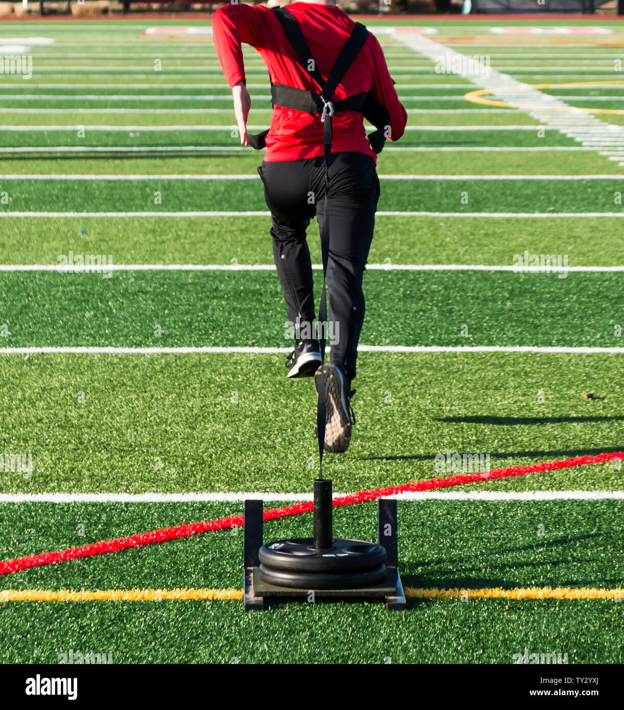 A track and field runner is pulling a weighted sled across a green turf field for speed and strength training. Stock Photo