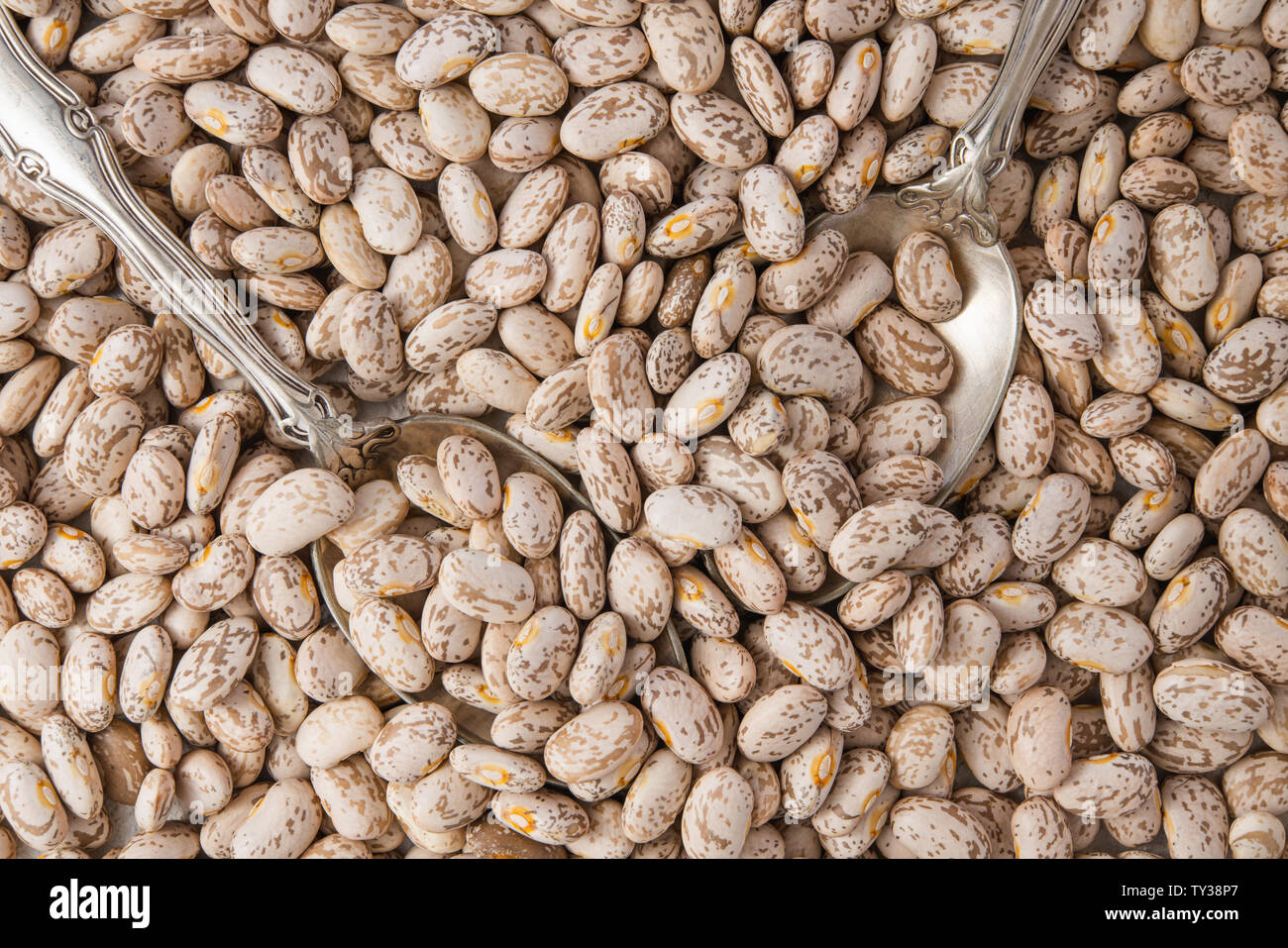 Pinto Beans Close Up Top view, Food Background, Dried Beans, Legume