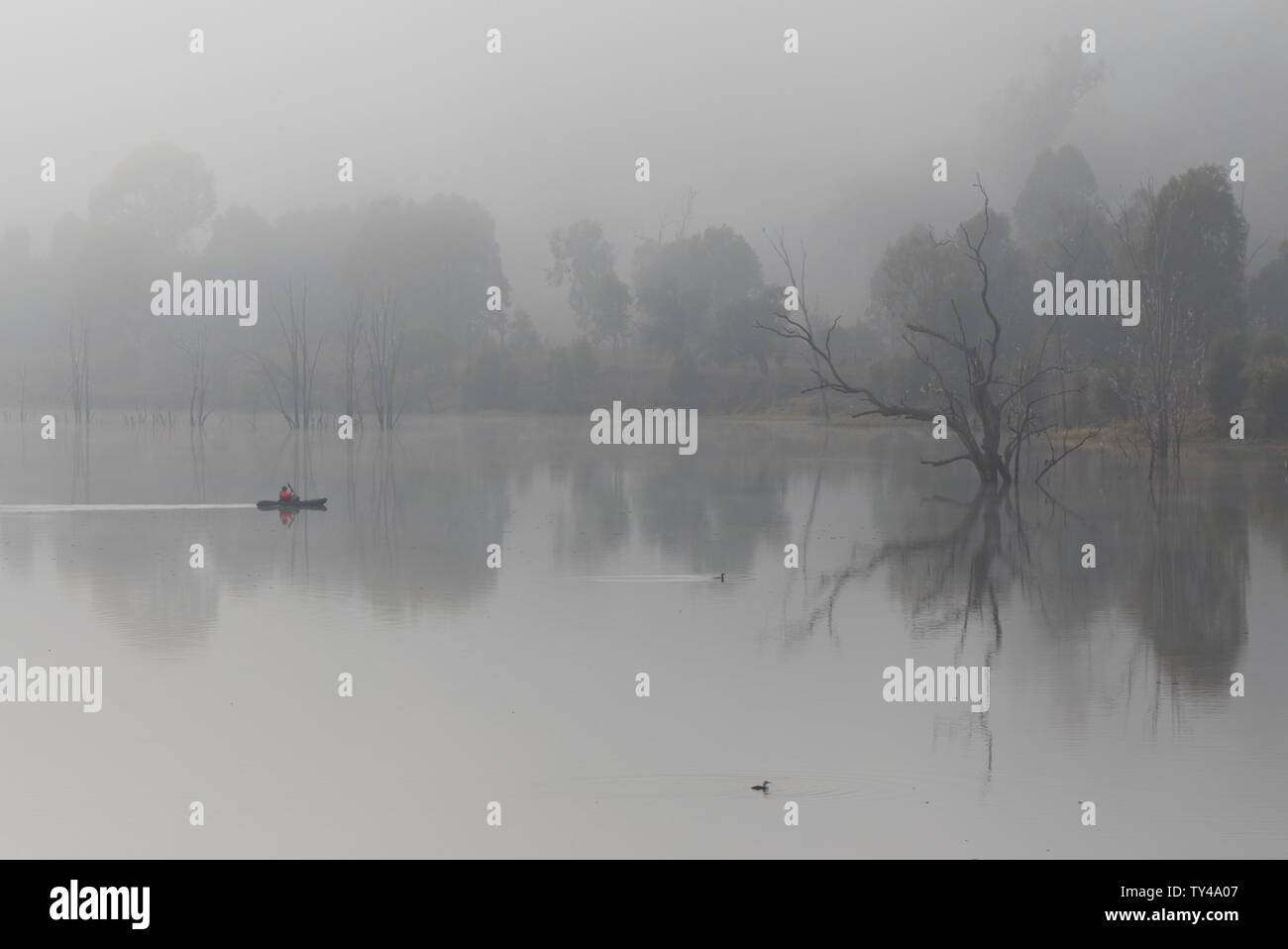 Canoe crossing the calm waters of Lake Paradise Burnett River Queensland Australia in the early morning fog Stock Photo