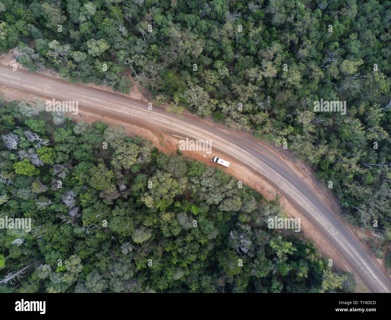 Aerial of unsealed road through the Hoop Pine forests of Goodnight Scrub National Park on the northern side of the Burnett River Queensland Australia Stock Photo