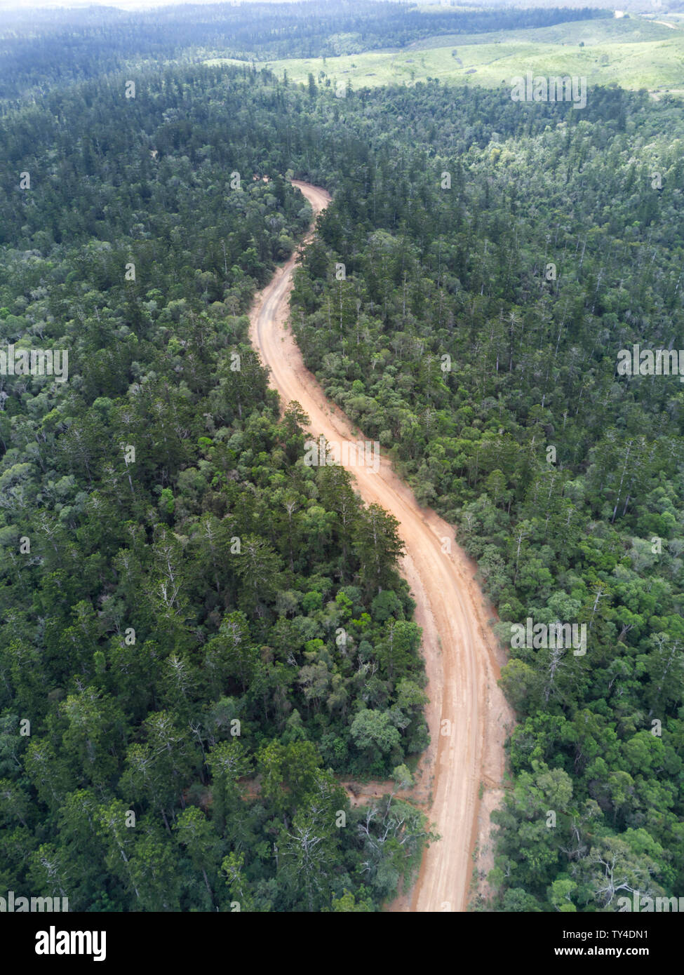 Aerial of unsealed road through the Hoop Pine forests of Goodnight Scrub National Park on the northern side of the Burnett River Queensland Australia Stock Photo