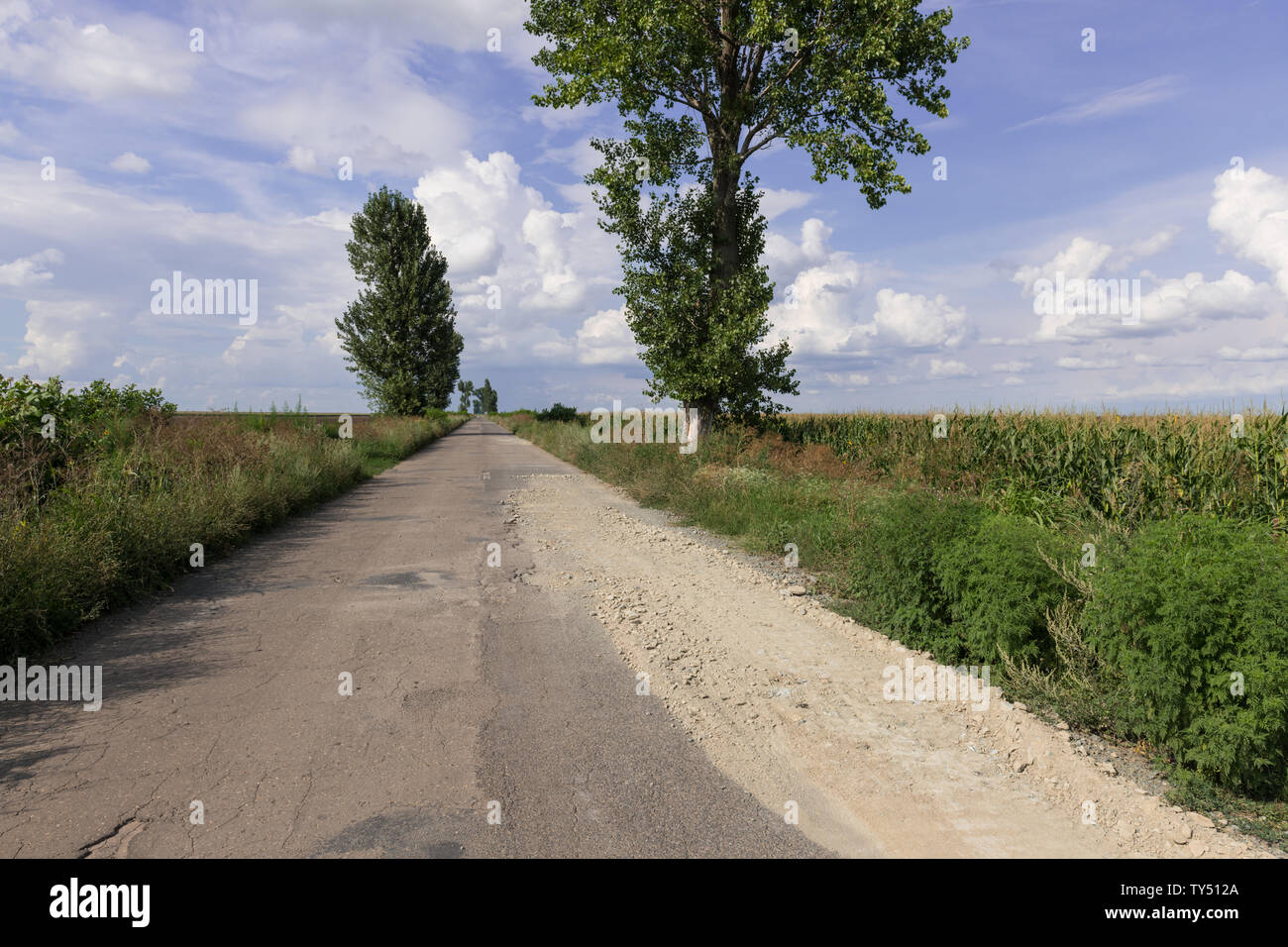 Background texture of landscape with old rural road highway with holes in the summer. Stock Photo