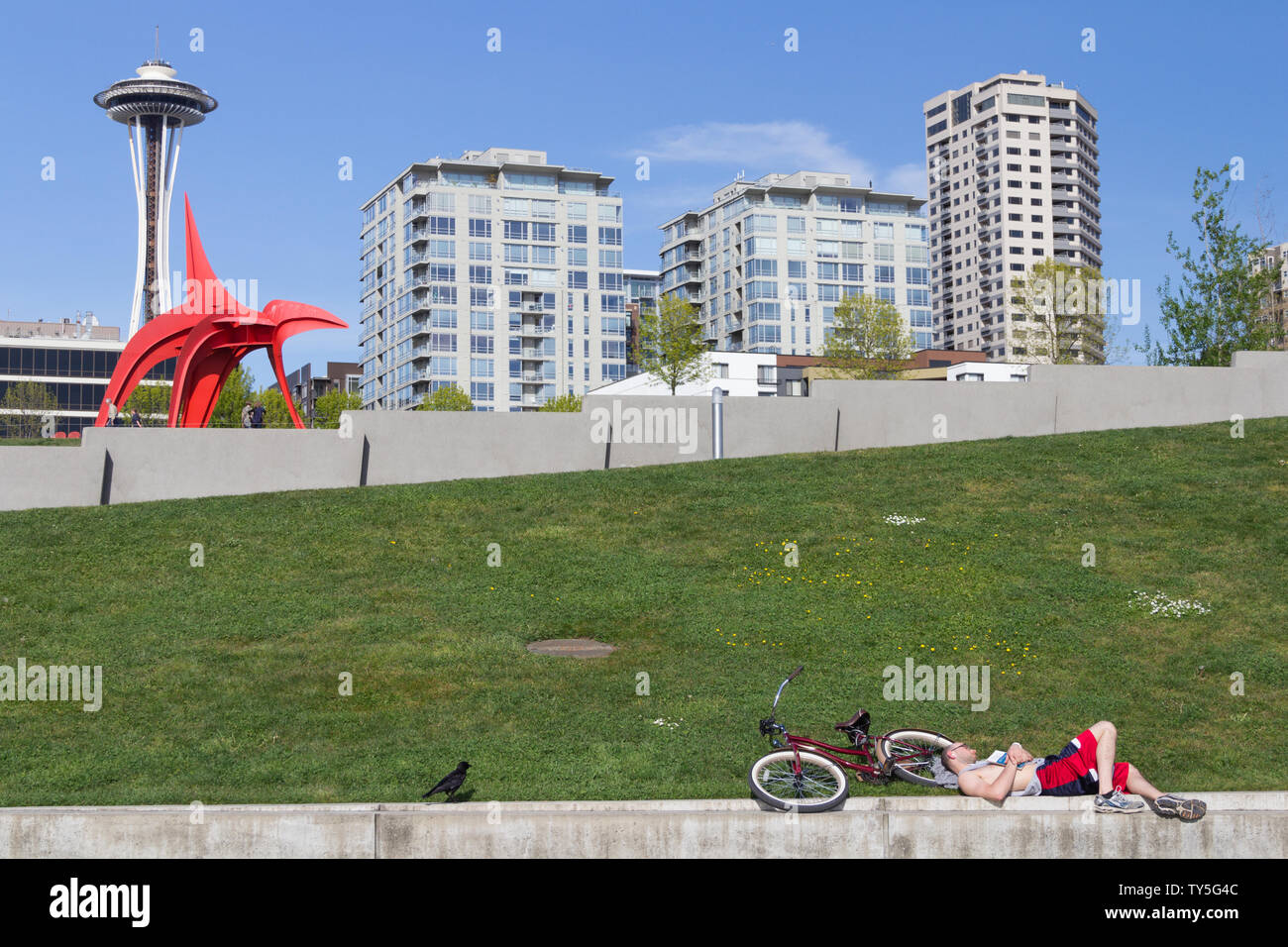 A man with his bicycle casually rest on the ledge off grass field while  a crow looks at him close by at Olympic Sculpture Park, Seattle, Stock Photo