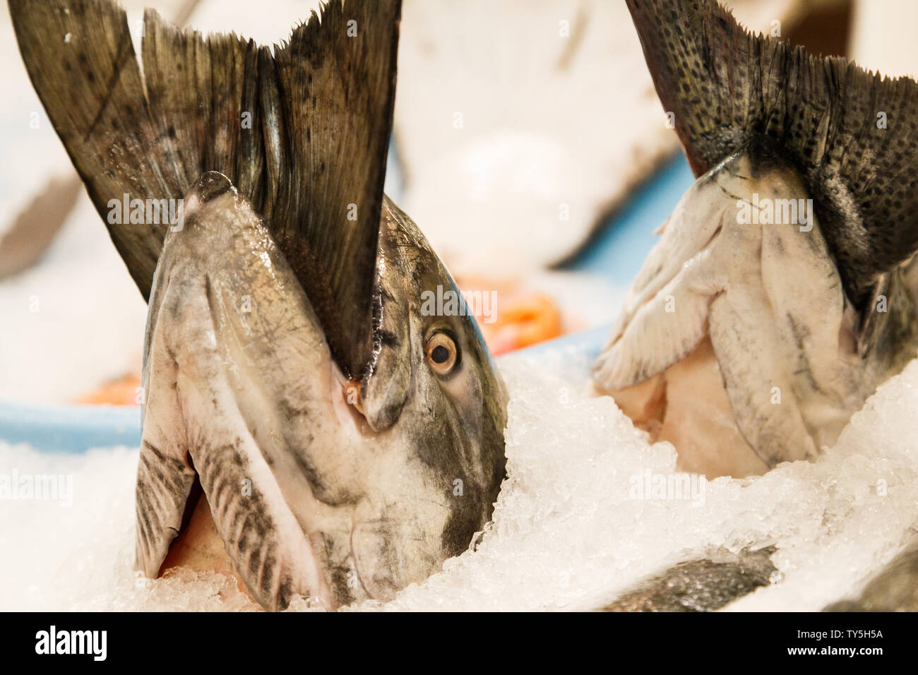 Fish marketing hires stock photography and images Alamy