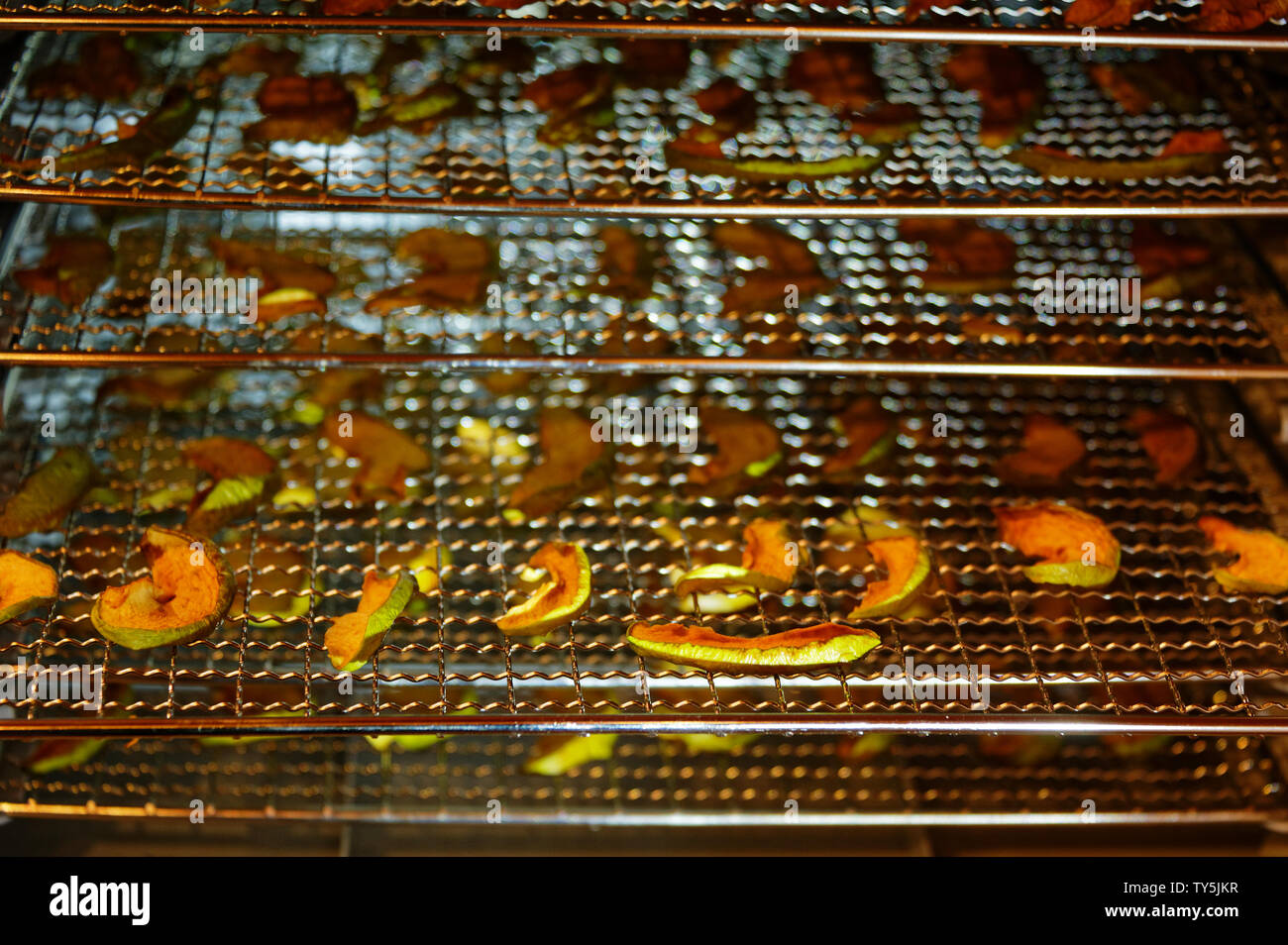 After a bumper Autumn crop, trays of sliced apples are dried for winter Stock Photo