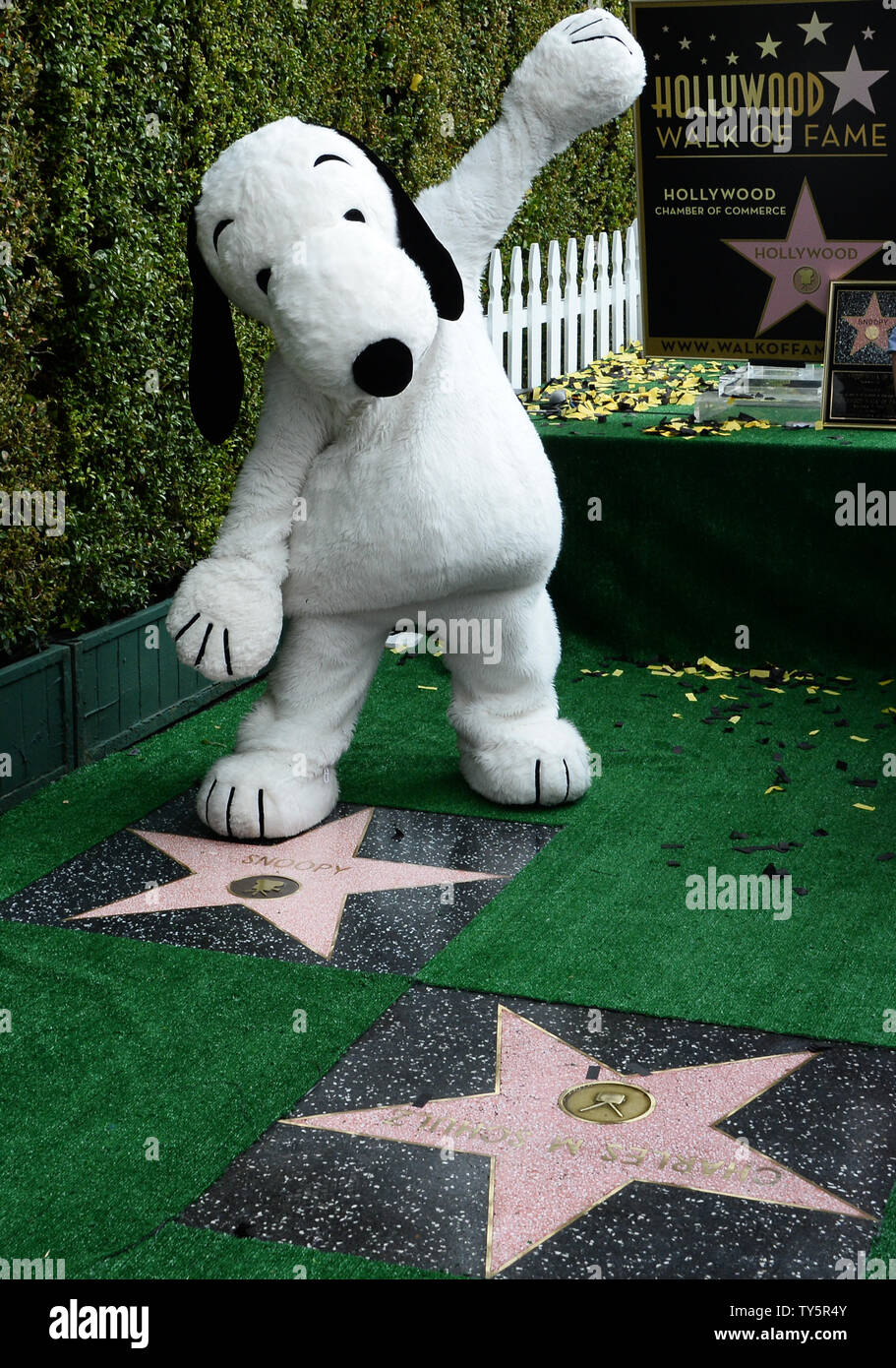 "Peanuts" character Snoopy poses beside his star which is next to the