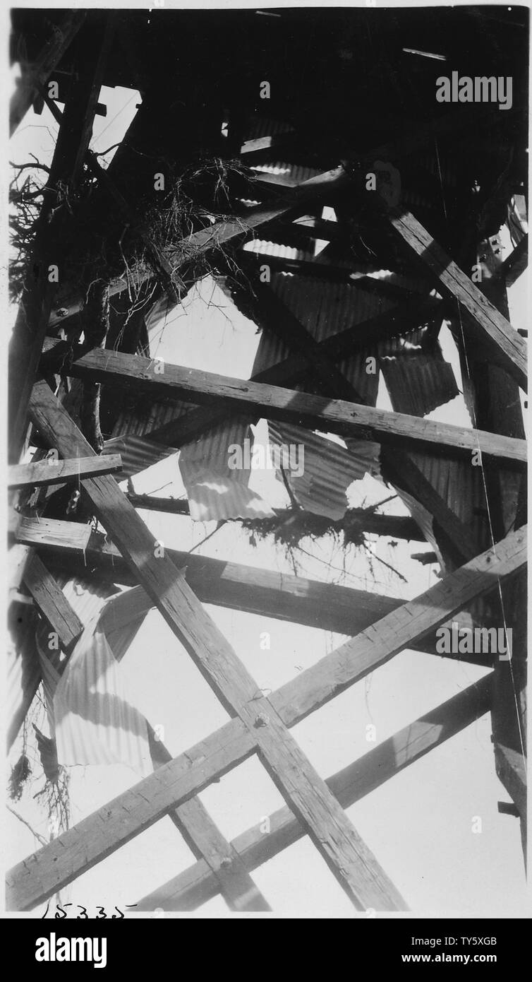 Image shows the force fo the high water on the corrugated sheet iron encasement of Tower C. The pressure was sufficient to shear the iron against the wood frame work, and to bend and almost wrap sheets, loose at one end, around the timbers.; Scope and content:  Angess Bridge over Rogue River in Siskiyou National Forest. Stock Photo