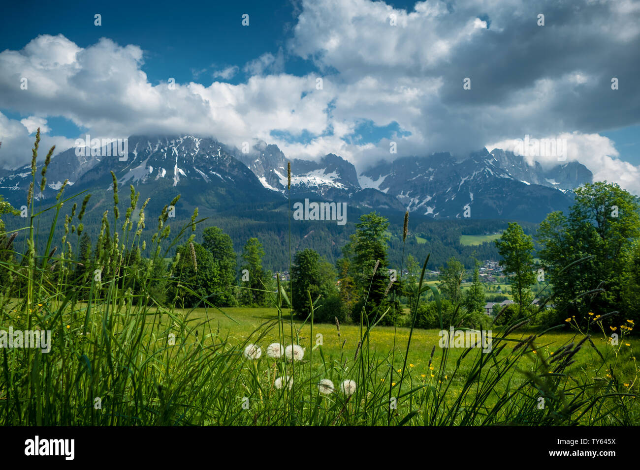 Nice view to the rocks of 'Wilder Kaiser' in Tirol, Austria Stock Photo