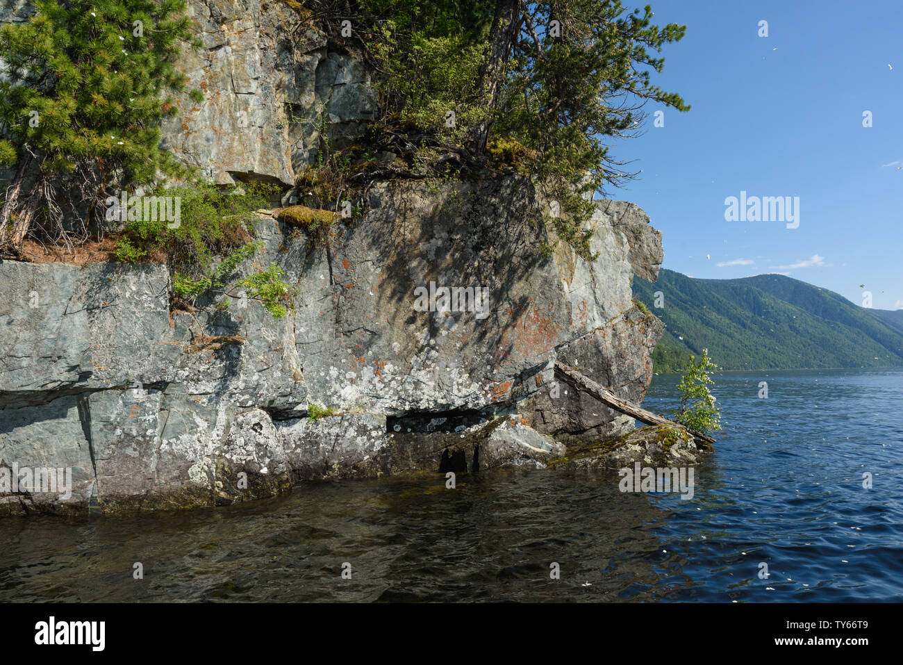 a trip along Teletskoye Lake on a motorboat in the Altai Mountains Stock Photo