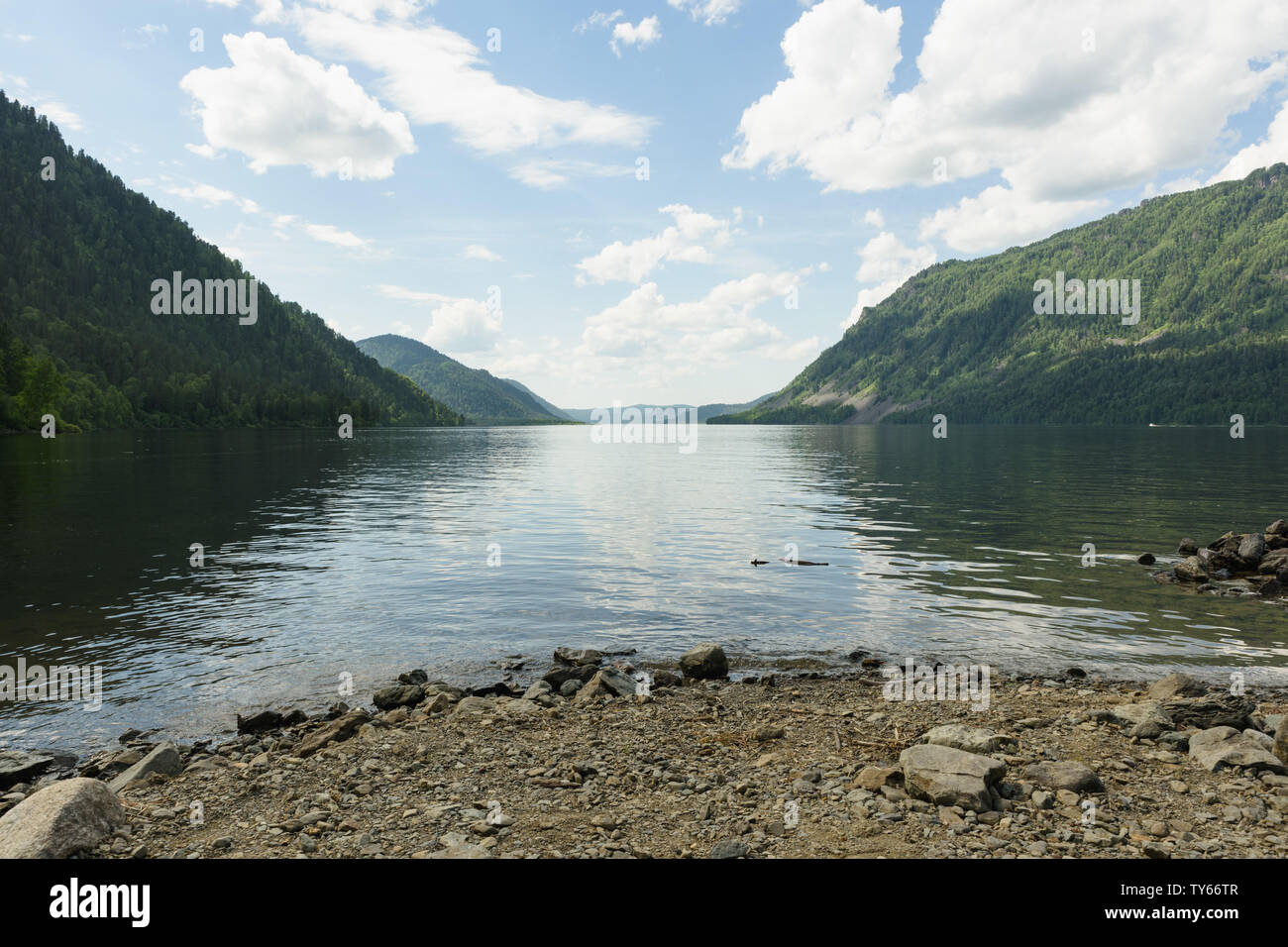 a trip along Teletskoye Lake on a motorboat in the Altai Mountains Stock Photo