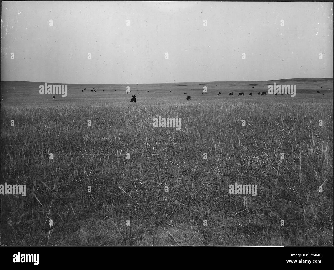 Farmers ridge hi-res stock photography and images - Alamy