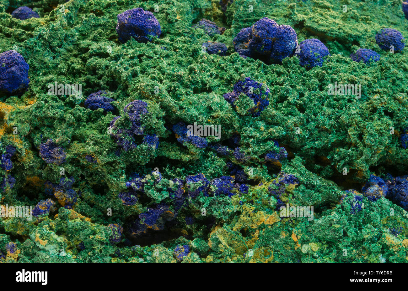 Azurite and malachite from Morocco. Geological Museum of China. Stock Photo