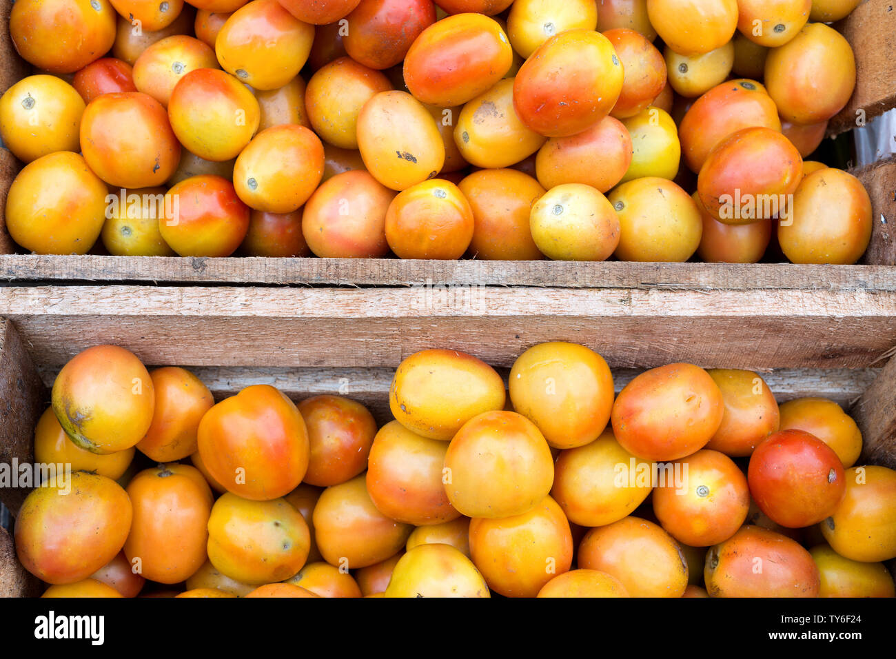 Local filipino tomato in the Philippines, closeup Stock Photo