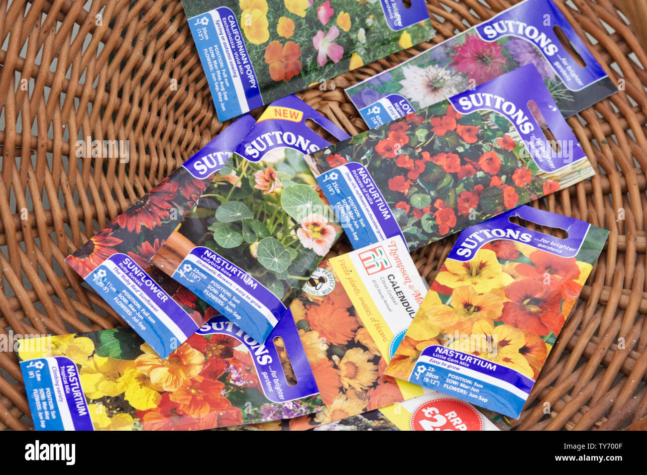 Sutton seeds in a wicker basket Stock Photo