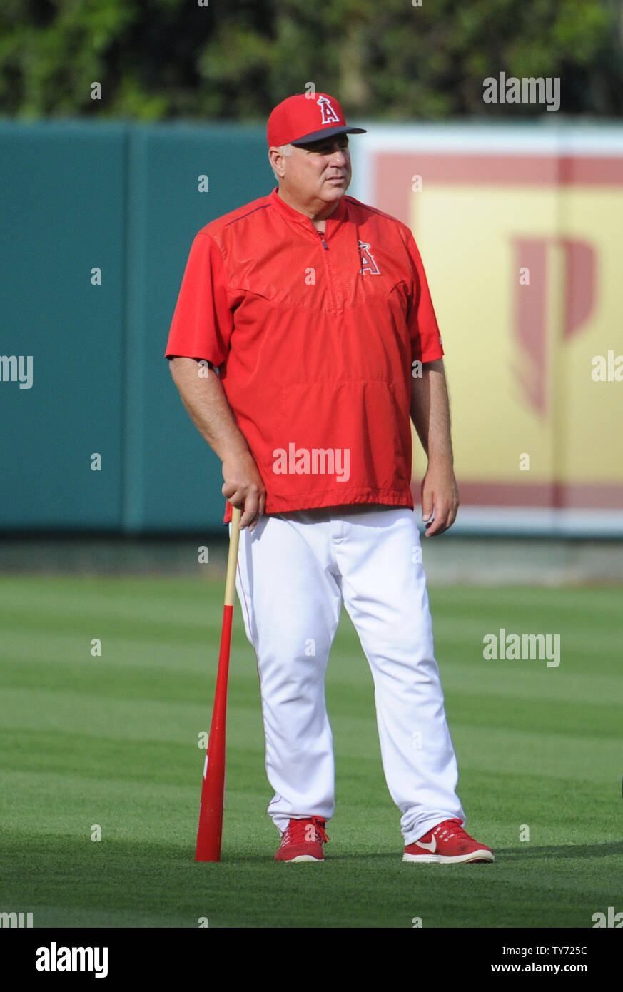 Angels manager Mike Scioscia could surpass Tommy Lasorda soon for milestone