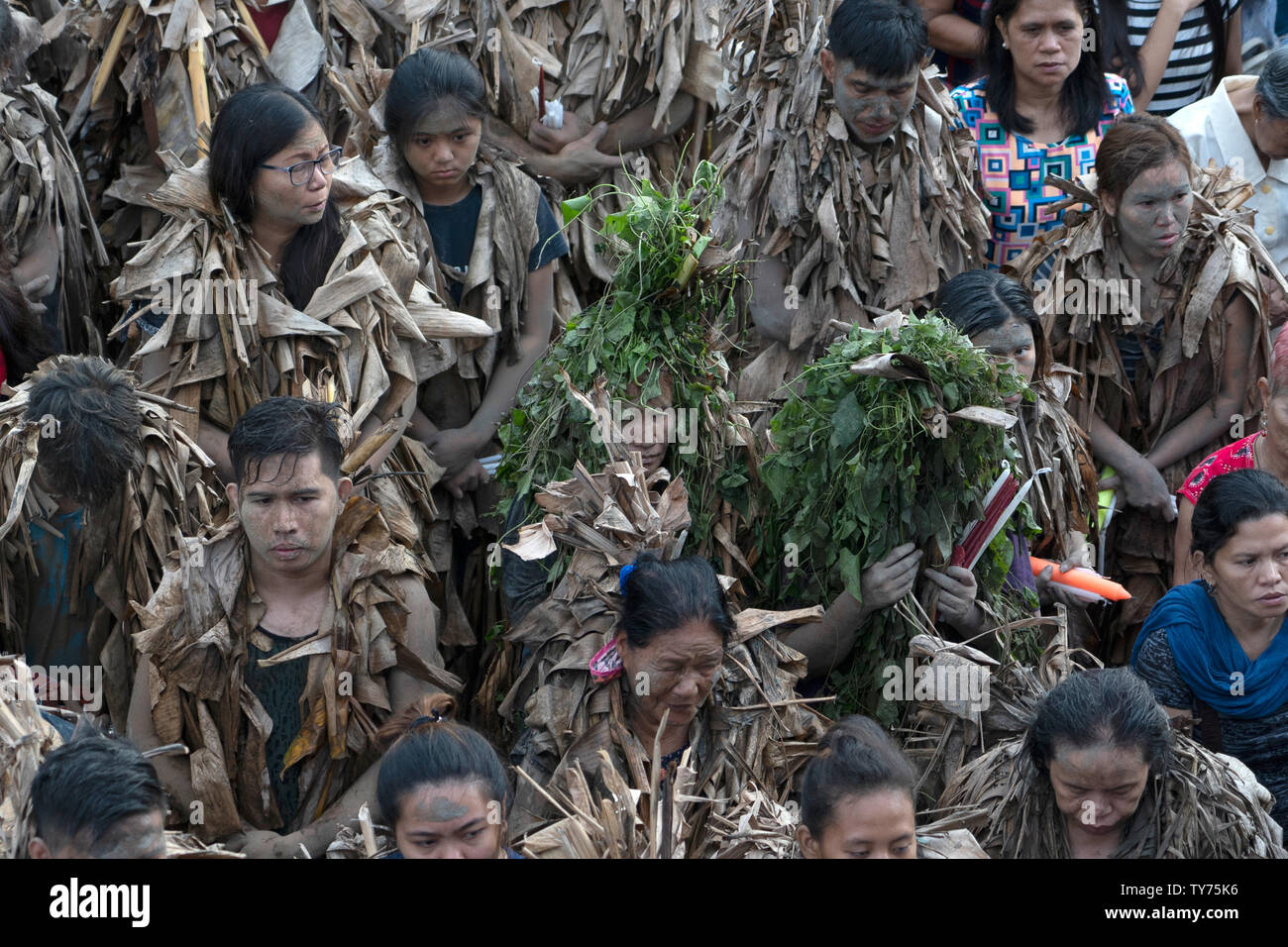 Twigs in the rice fields hi-res stock photography and images - Alamy