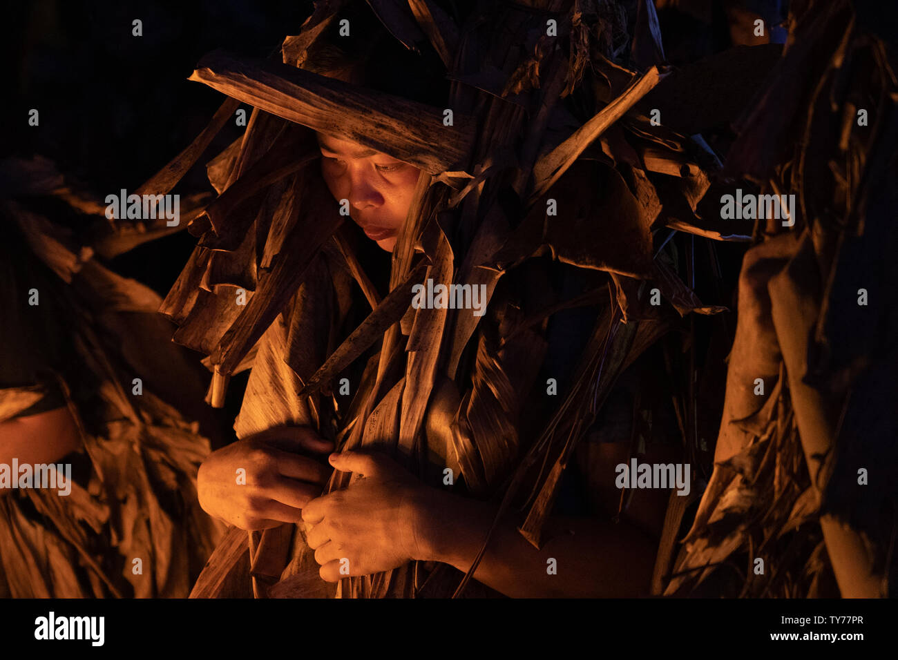 Twigs in the rice fields hi-res stock photography and images - Alamy