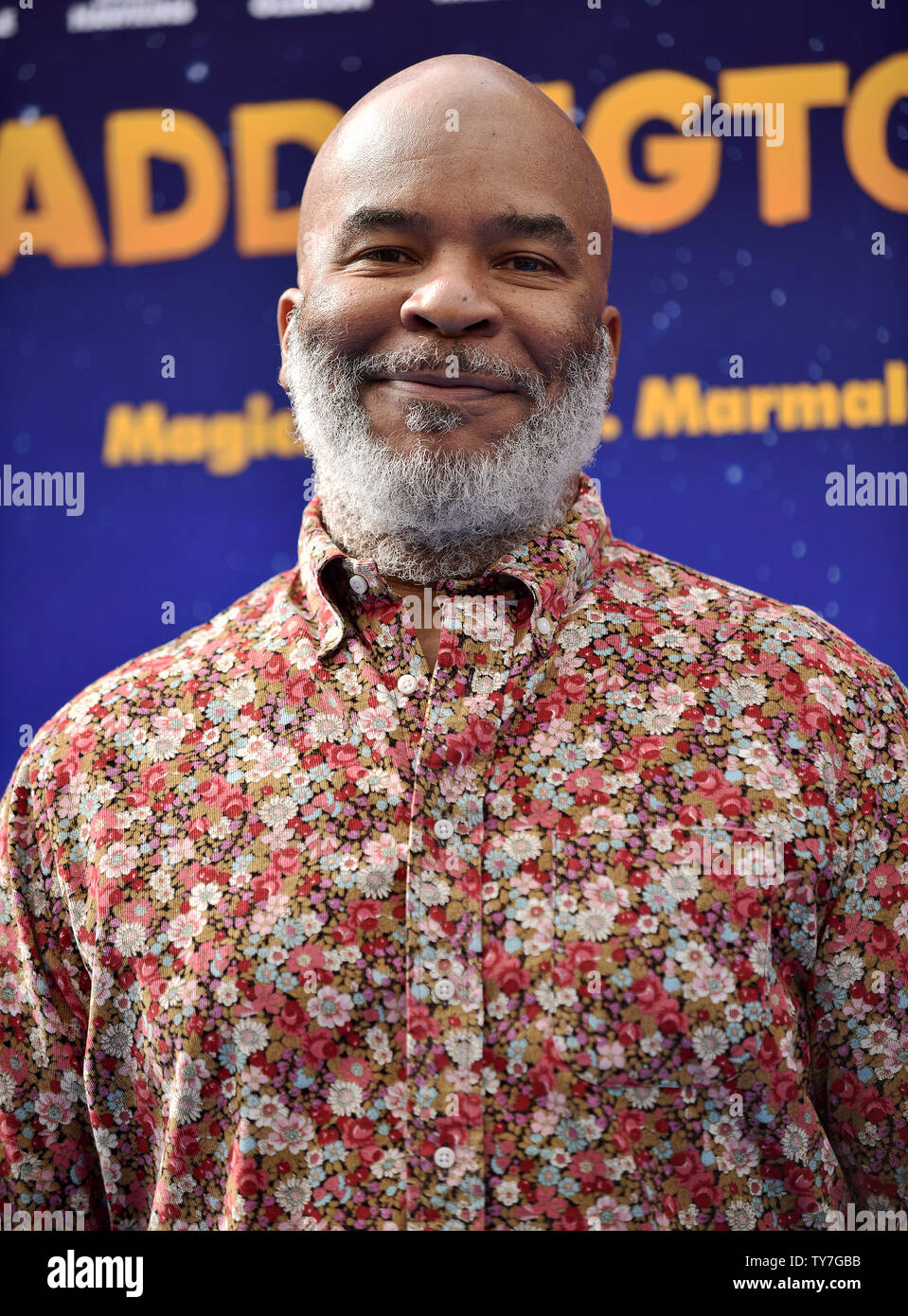 David Alan Grier attends the premiere of 'Paddington 2' at the Regency