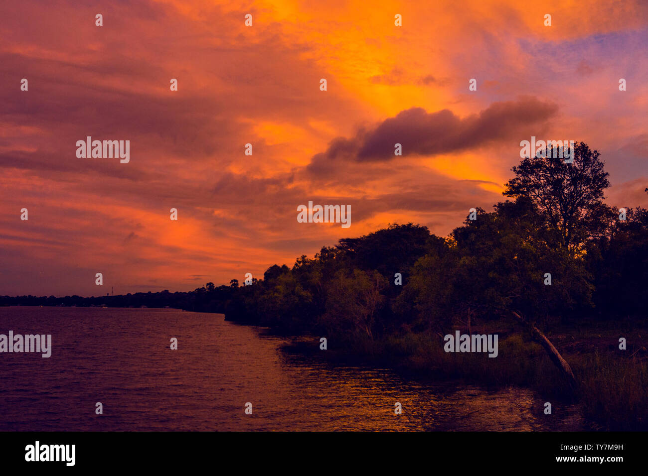 Africa, Zimbabwe, animals, nature pristine, Zambezi river, panorama, night view, starry sky, bonfire, burning clouds, aerial shot Stock Photo - Alamy Africa, Zimbabwe, animals, nature pristine, Zambezi river, panorama, night view, starry sky, bonfire, burning clouds, aerial shot Stock Photo - Alamy