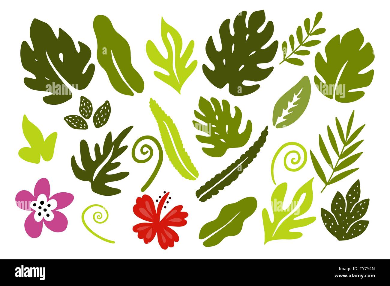 Different tropical leaves on white background. Stock Vector