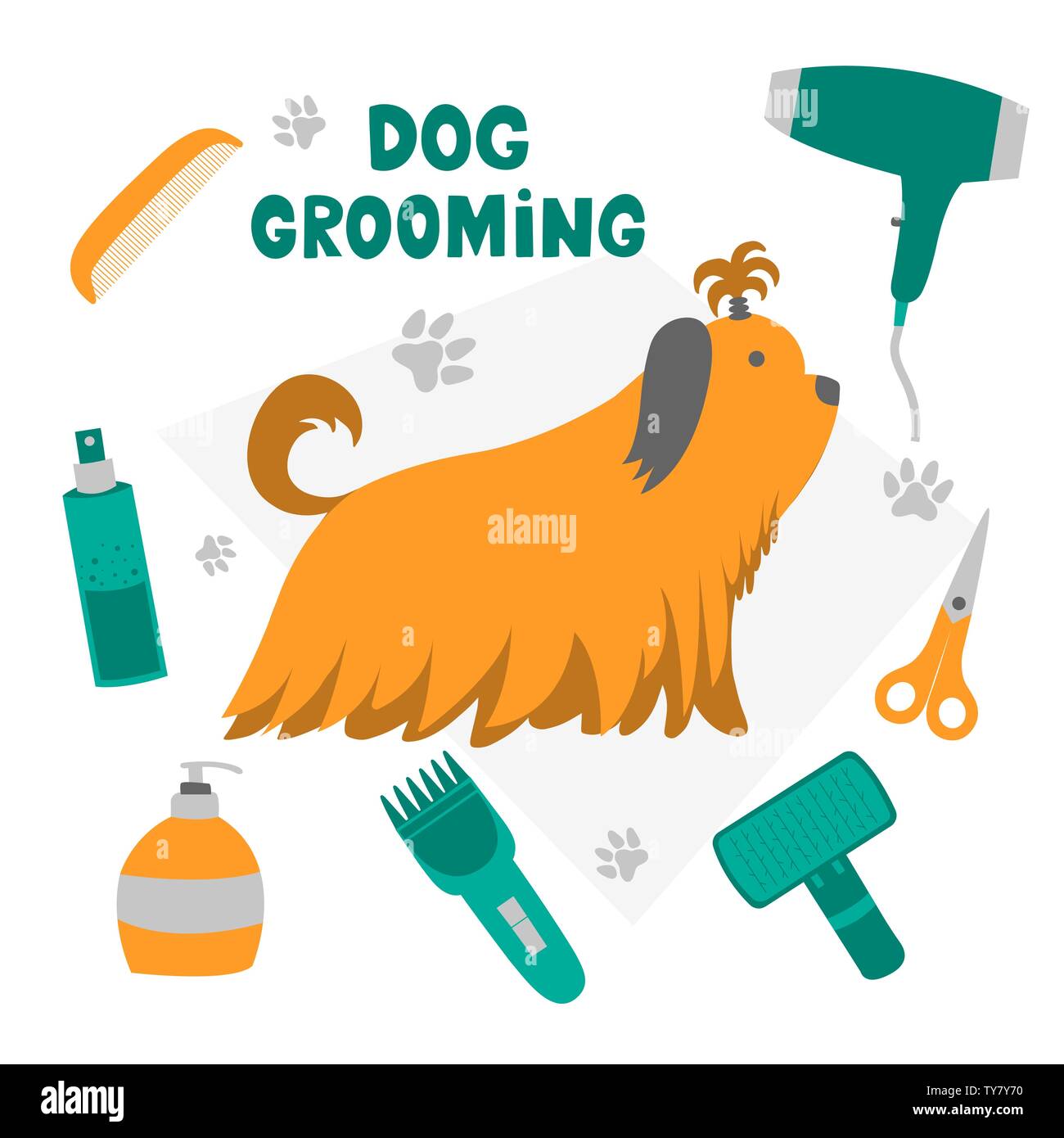 For dogs pet store and clearance grooming