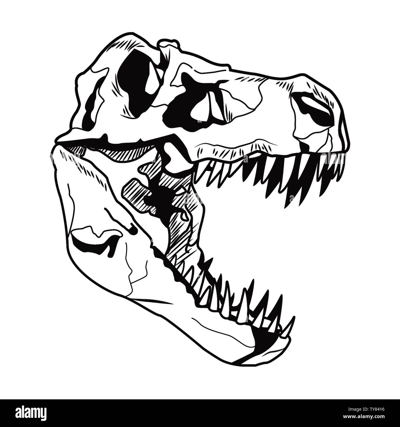 Graphical skull of dinosaur isolated vector tattoo illustrationdilofosaur  Stock Vector  Adobe Stock