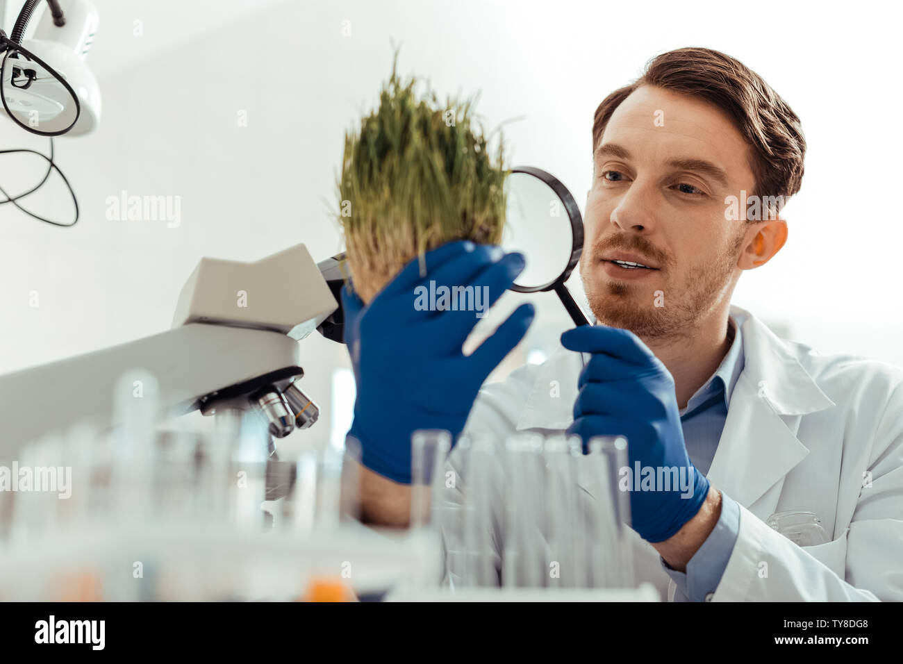 Smart young man studying the green grass Stock Photo
