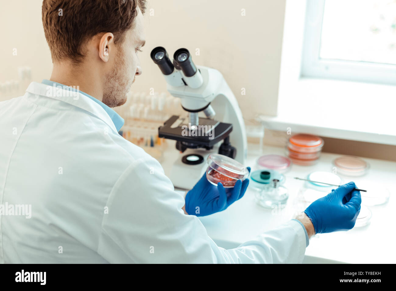 Close up microbiologist hands in hi-res stock photography and images ...