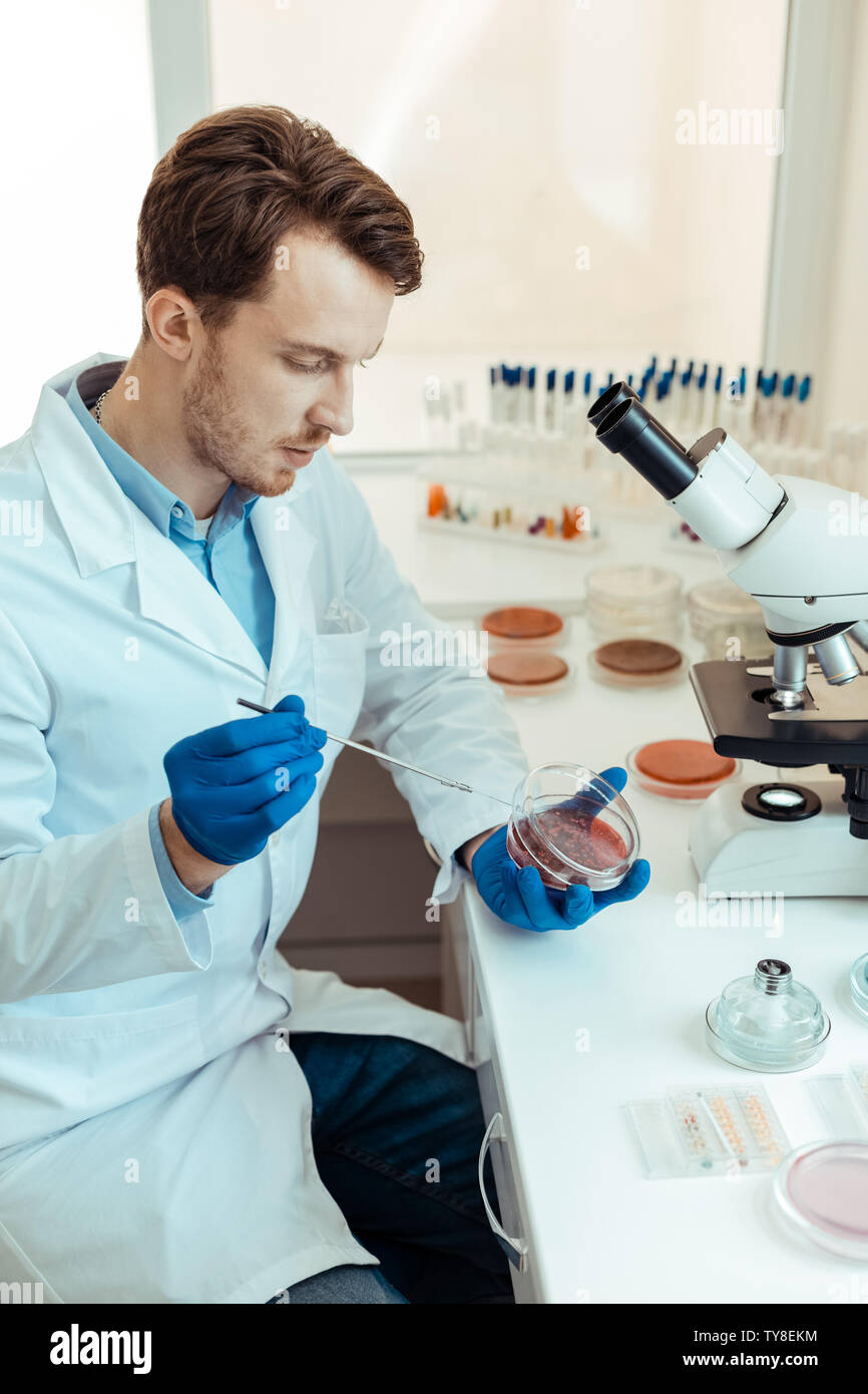Nice smart man looking at the petri dish Stock Photo