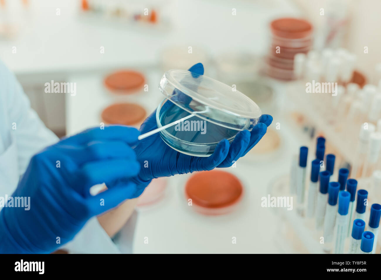 Selective focus of a transparent petri dish Stock Photo