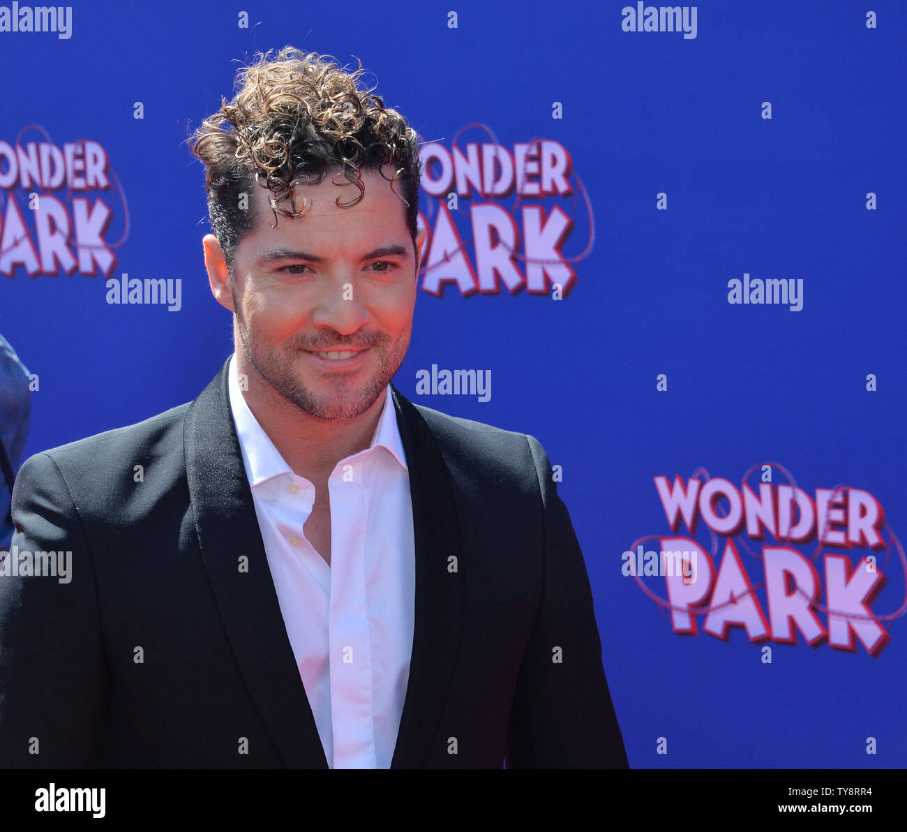 Spanish singer and songwriter David Bisbal attends the premiere of the ...