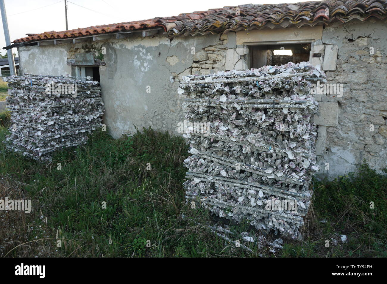 stacks of oyster shells on metal grids in front of old abandoned stone building Stock Photo