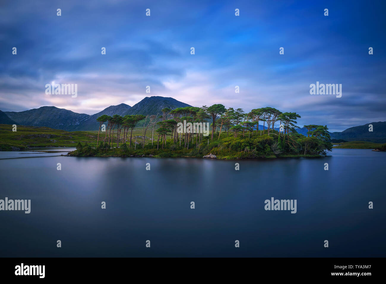 Pine Trees Island in the Derryclare Lake at sunset Stock Photo