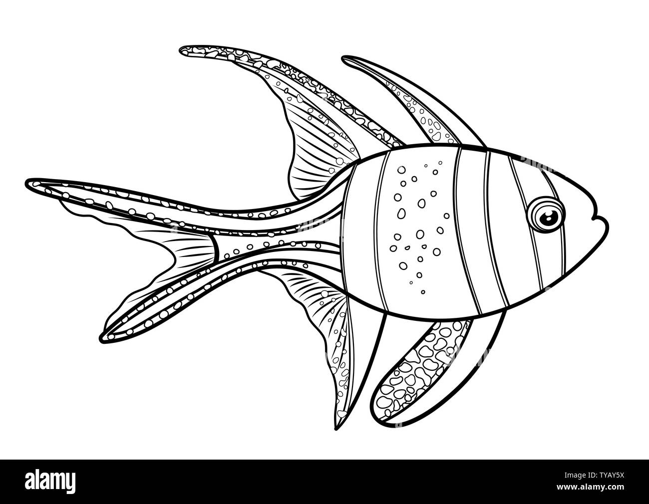 Banggai cardinal fish, line silhouette cartoon hand drawn sea animal, contour maritime character, coloring, sketch. Outline isolated black and white d Stock Vector