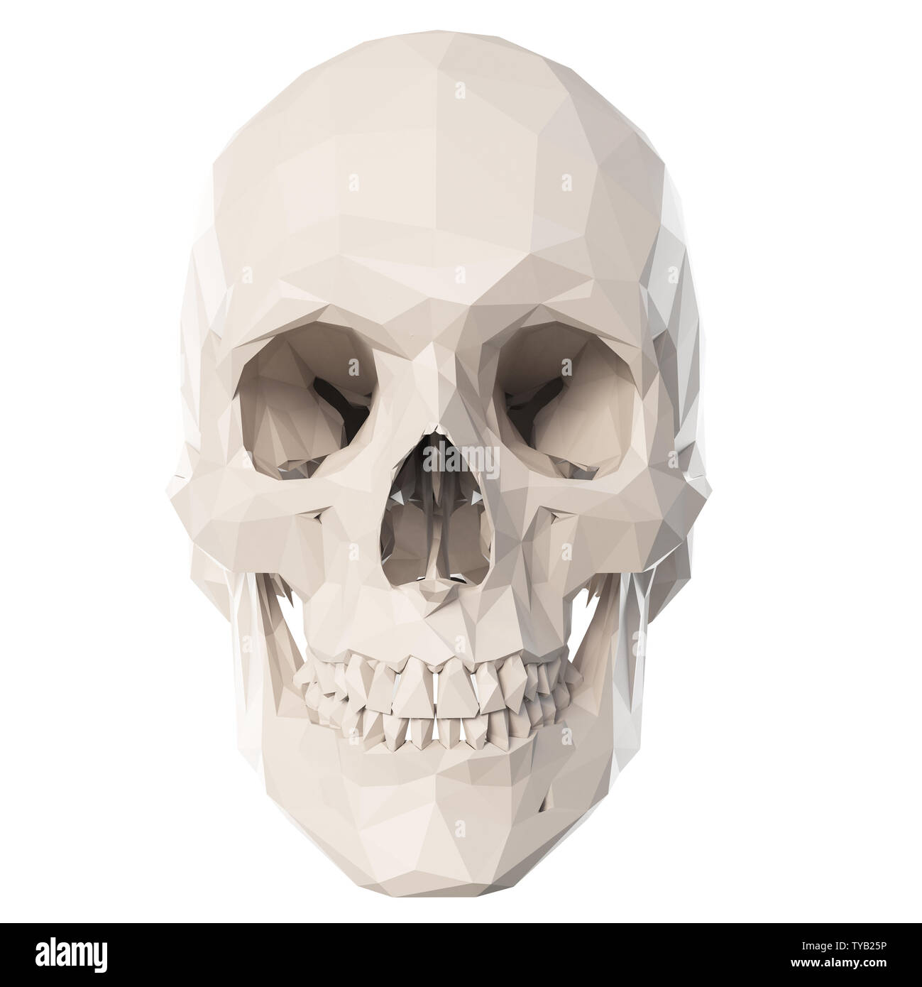 3d rendered medically accurate illustration of poly style skull Stock Photo