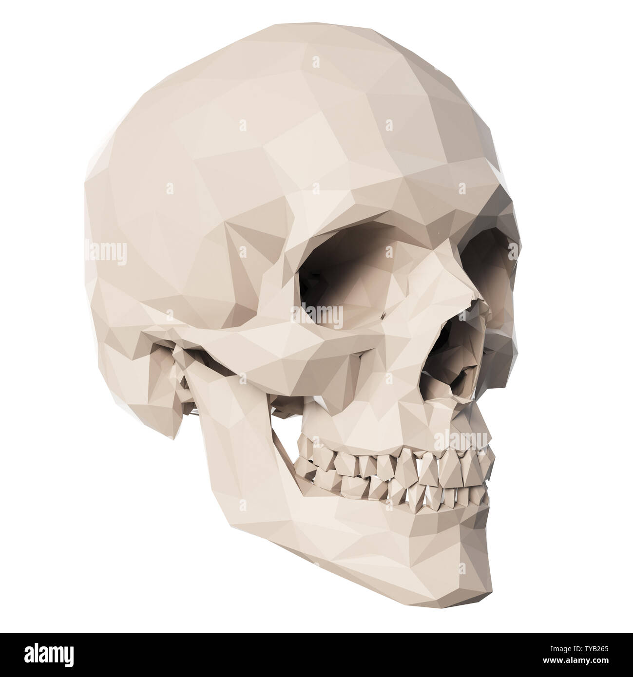 3d rendered medically accurate illustration of poly style skull Stock Photo