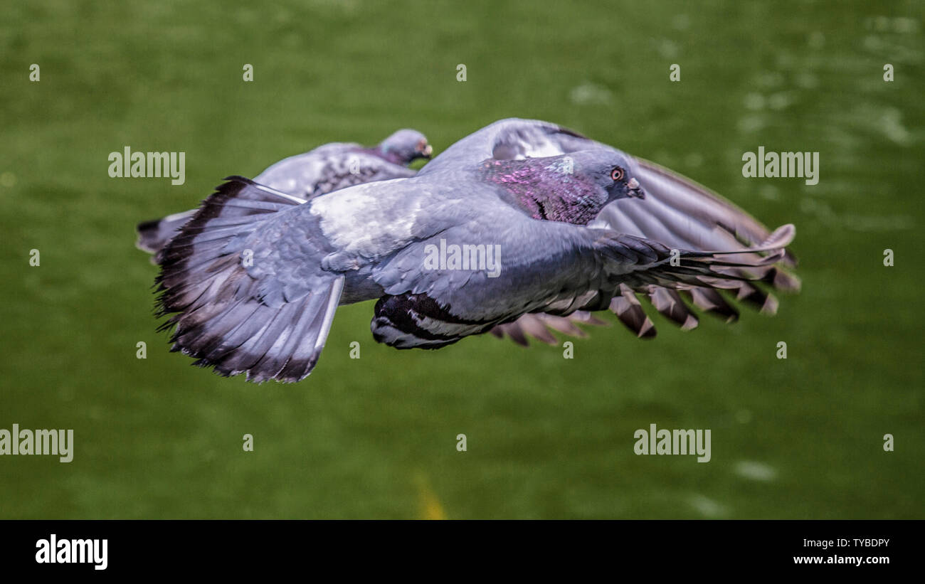 Momentary Things Momentary hi-res stock photography and images - Alamy