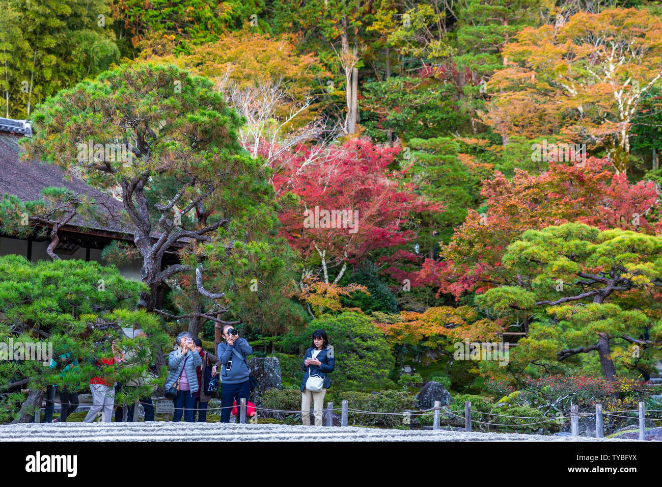 Kyoto Jp November 1 2019 Cute Stock Photo 1607345449