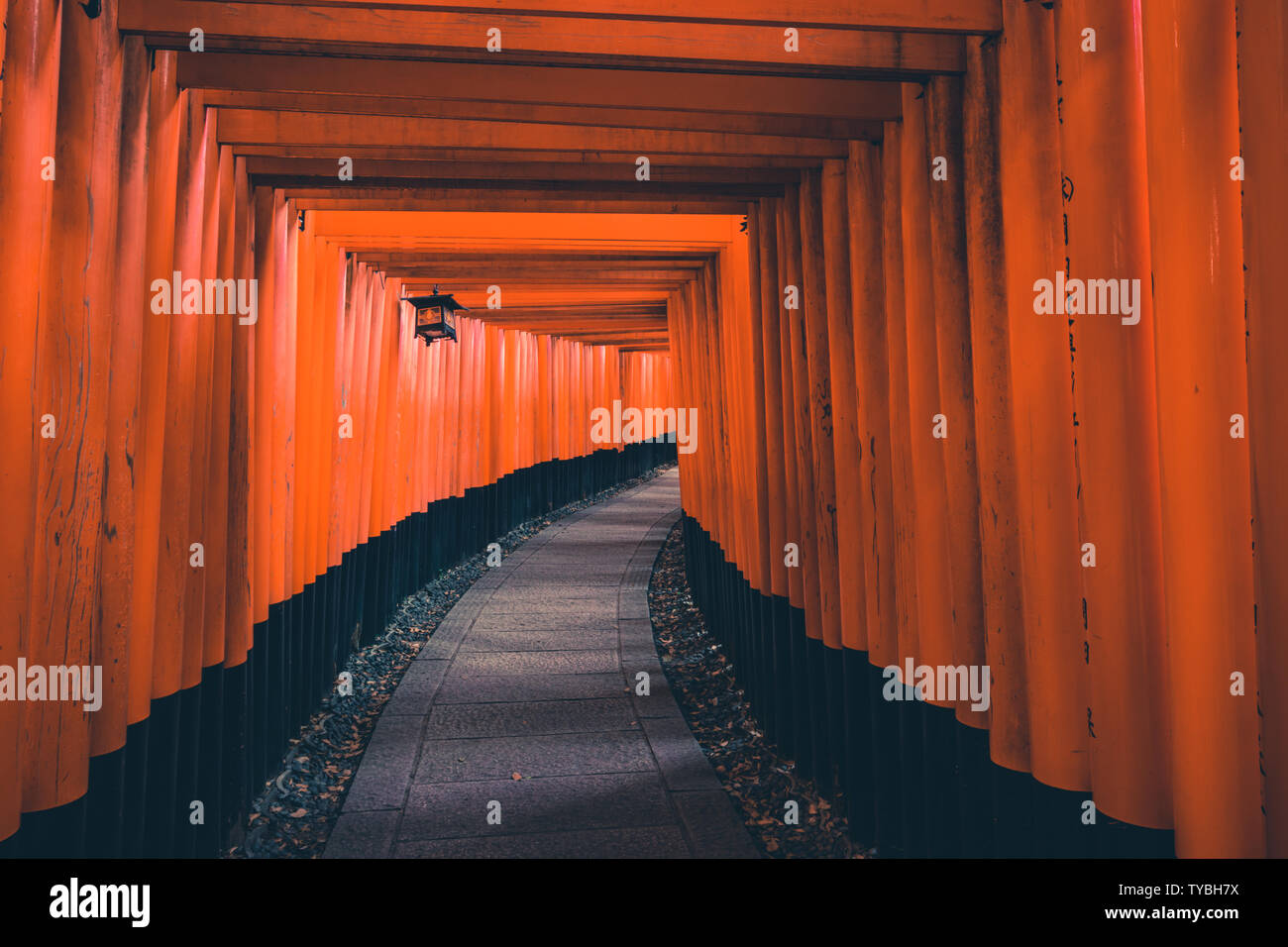 Fushimi Inari Shrine is an important Shinto shrine in southern Kyoto, Japan. It is famous for its thousands of vermilion torii gates, which straddle a Stock Photo