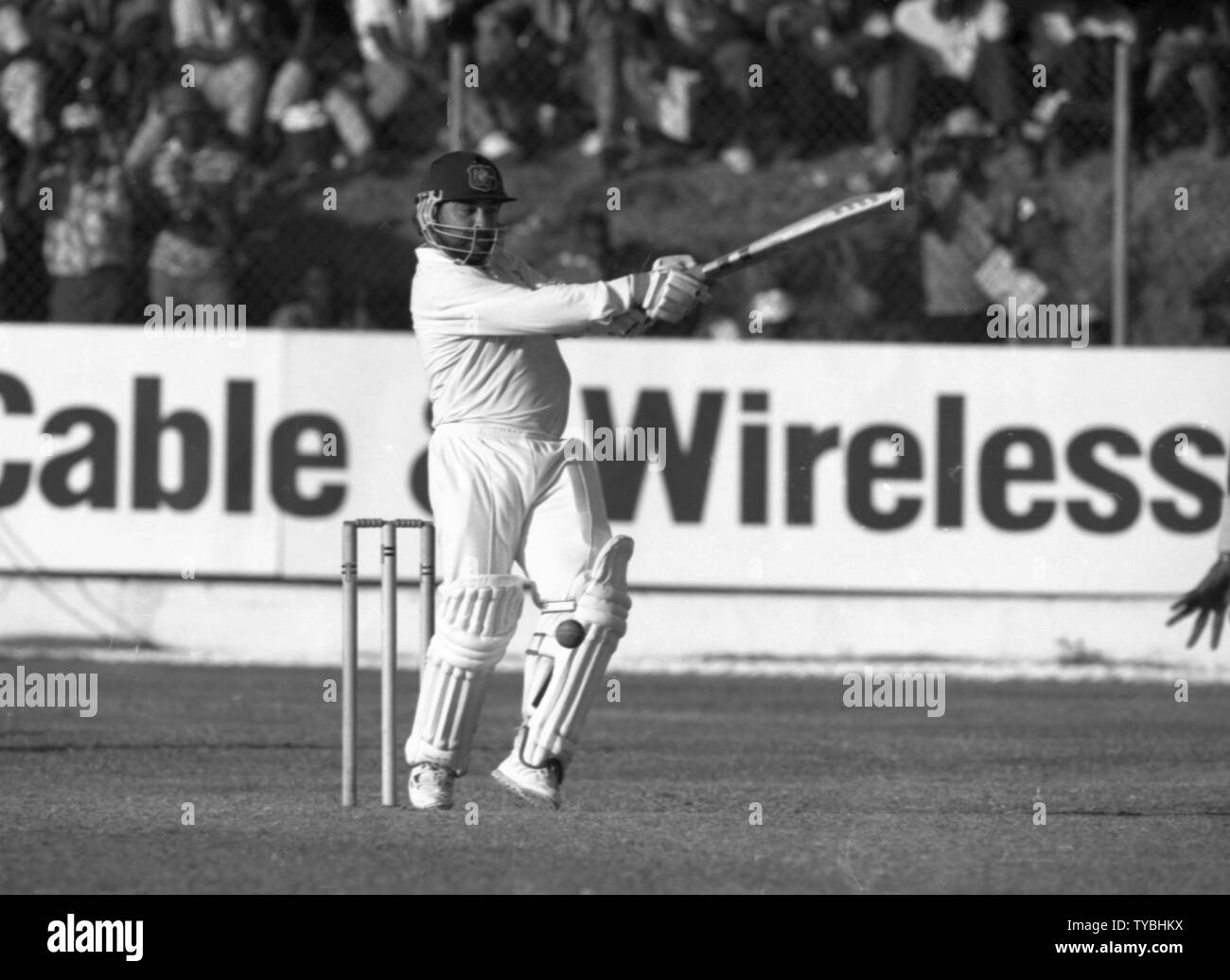 Cricket 1991   David Boon - Australia    Photo by Tony Henshaw Stock Photo