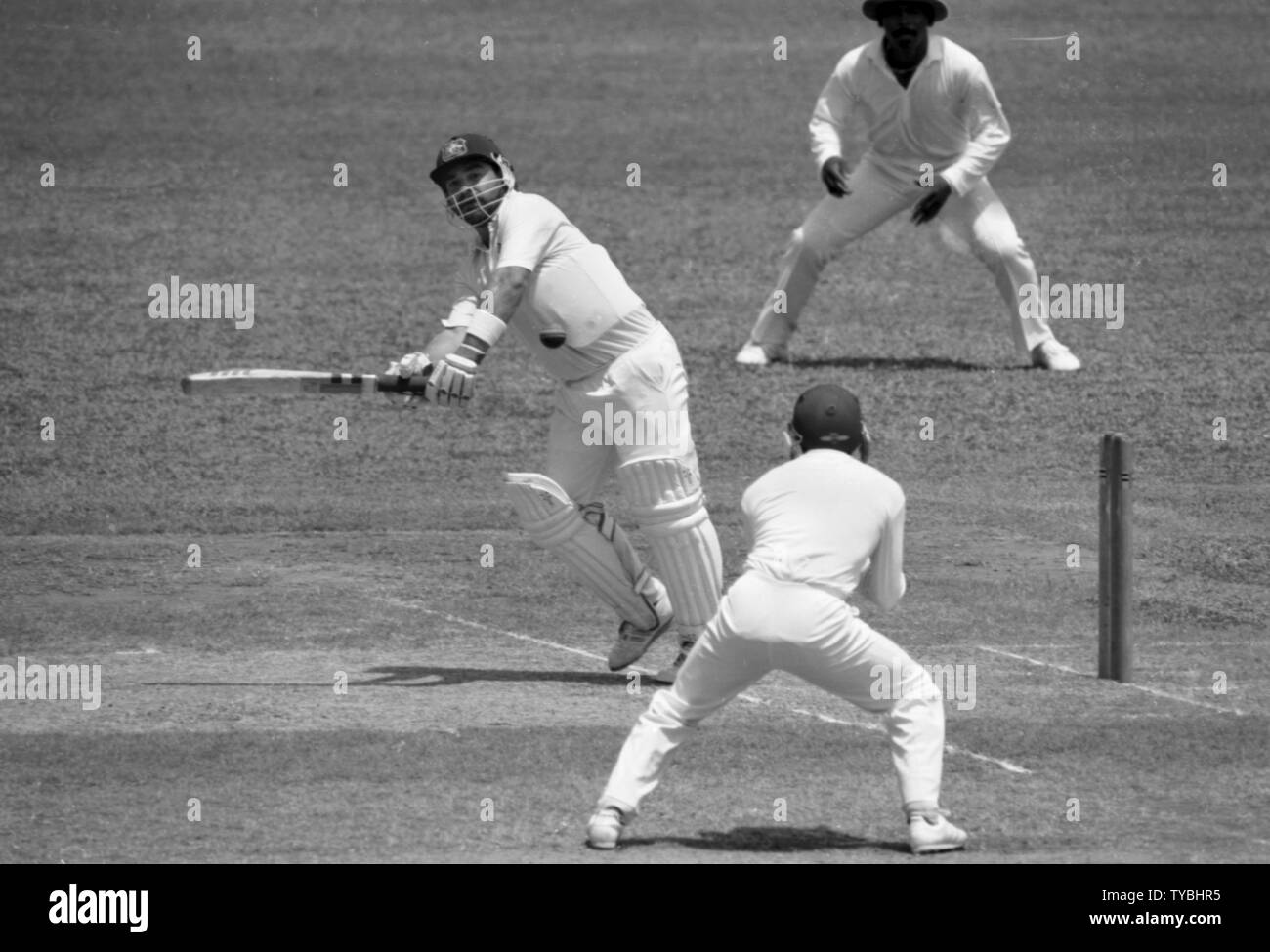 Cricket 1991   David Boon - Australia    Photo by Tony Henshaw Stock Photo