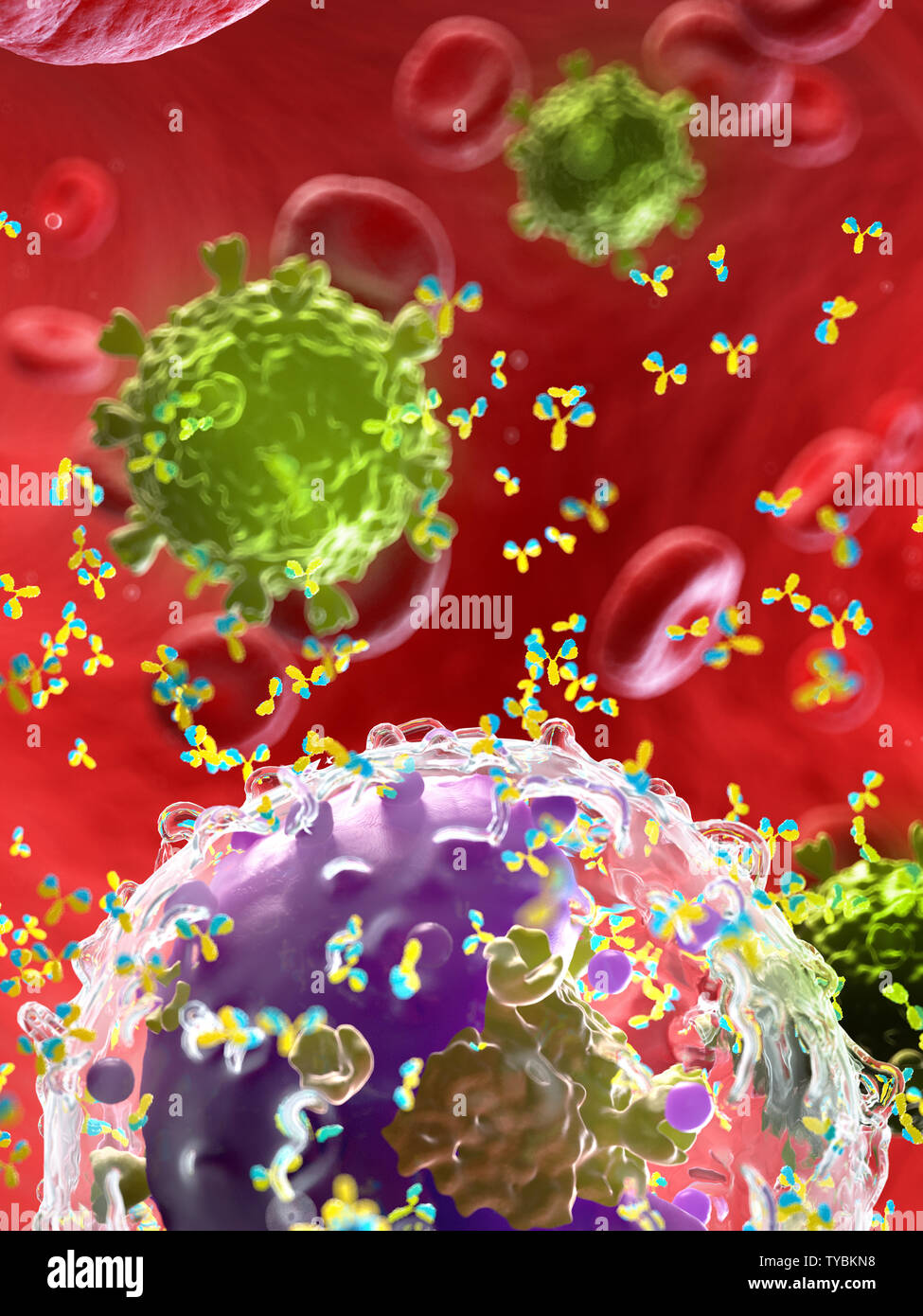 Red cell antibodies hi-res stock photography and images - Alamy