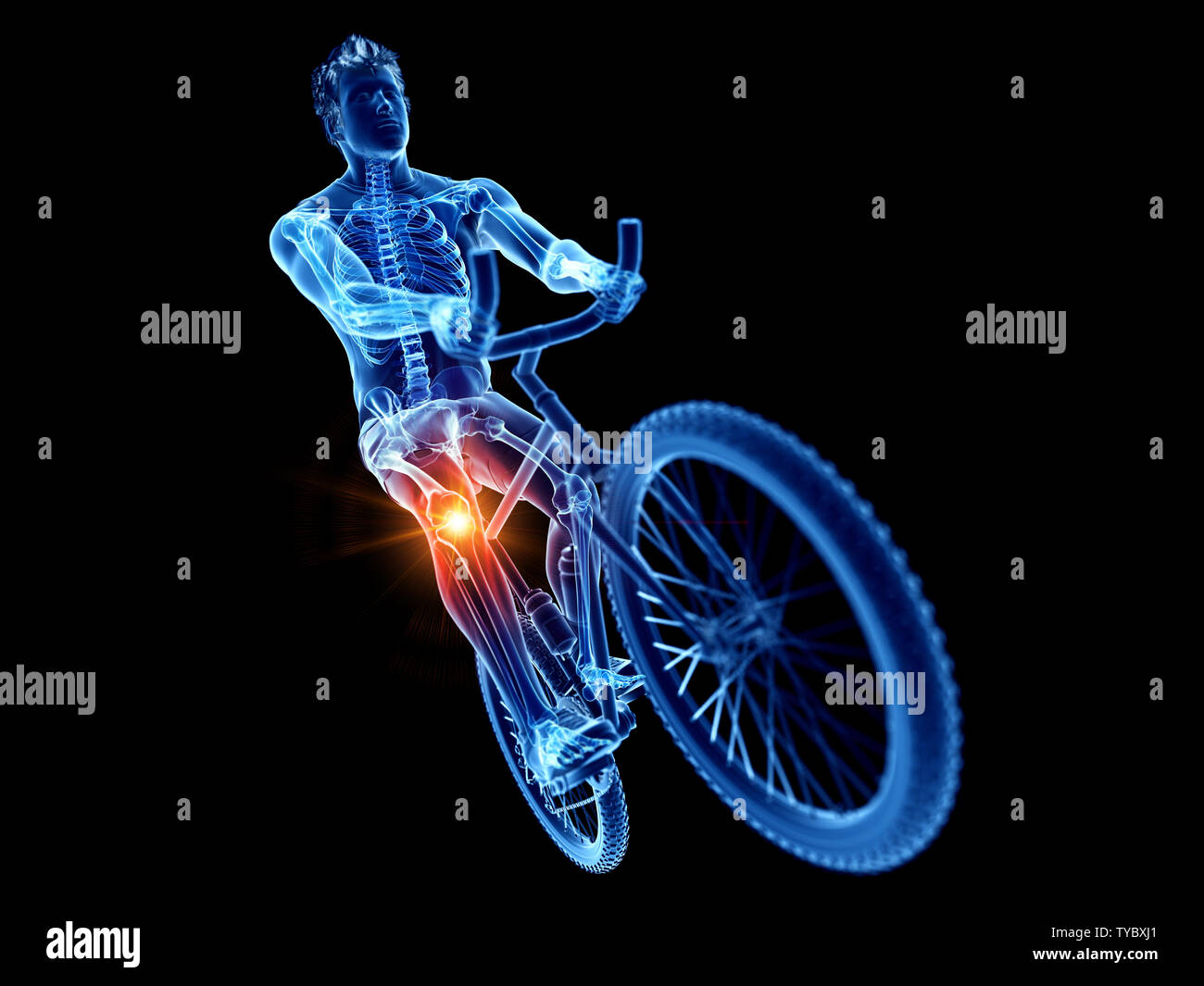 3d rendered illustration of a cyclists painful knee Stock Photo