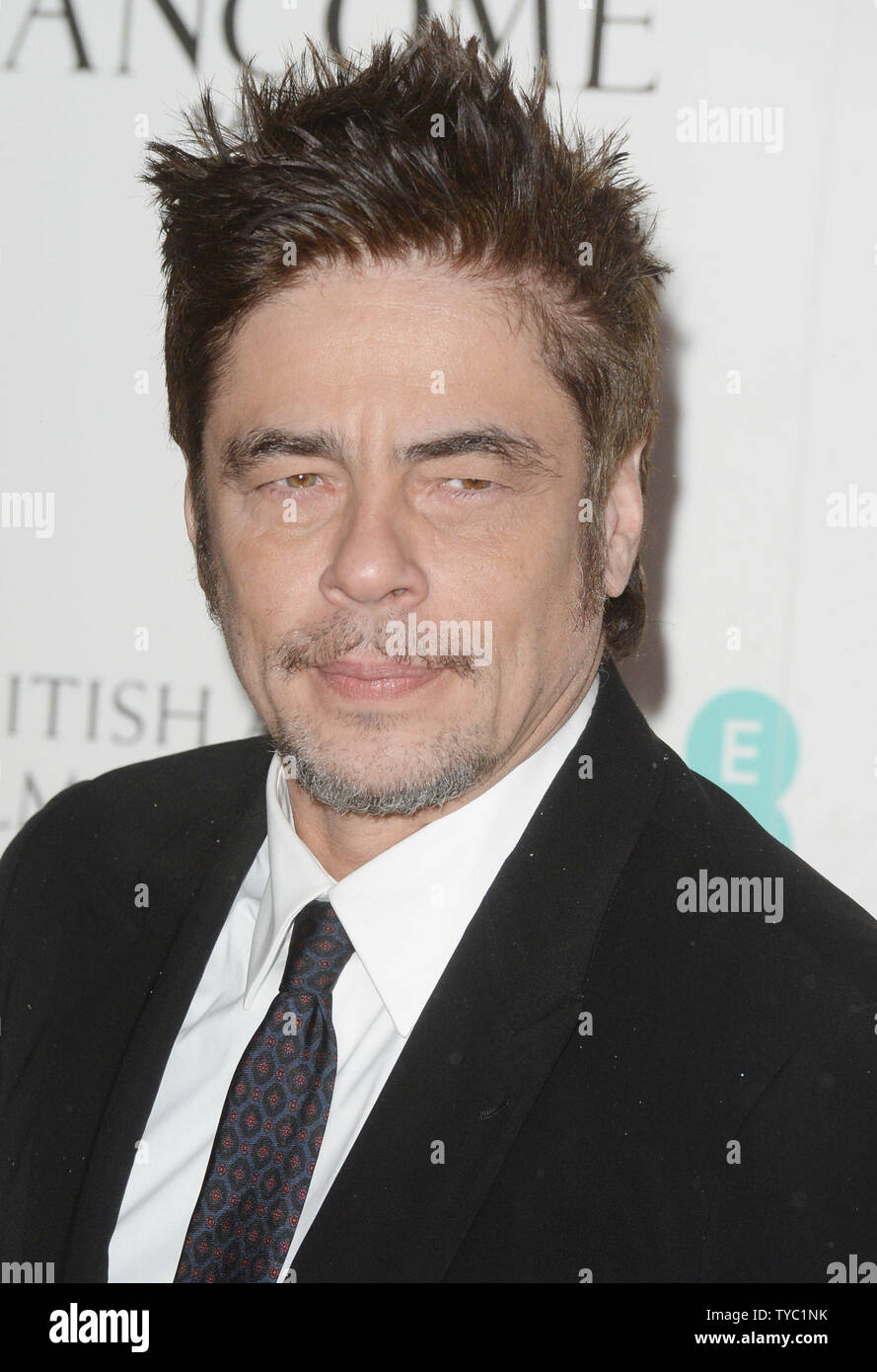 American actor Benicio Del Toro attends the EE British Academy Film Awards Nominees Party at Kensington Palace in London on February 13, 2016.     UPI/ Rune Hellestad Stock Photo