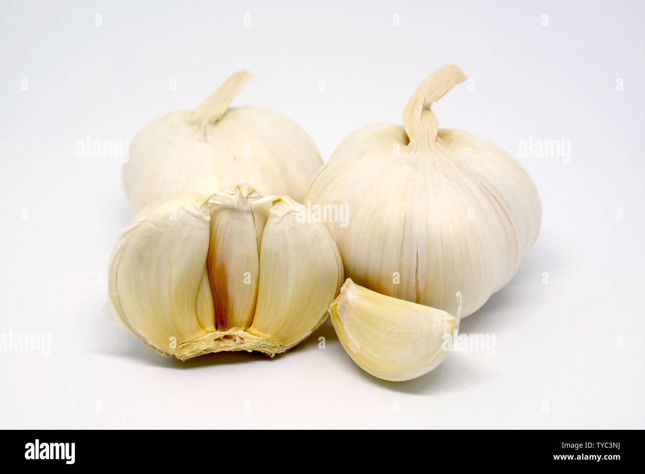 Fresh Garlic Bulbs and Clove Isolated on White Background Stock Photo ...